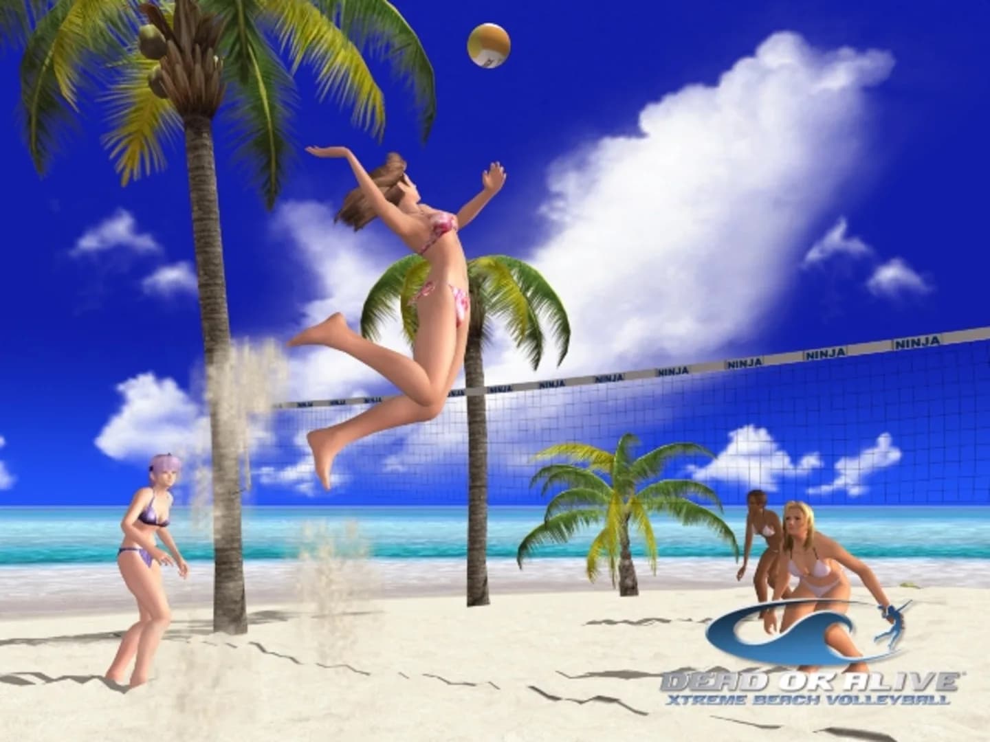 image backdrop image