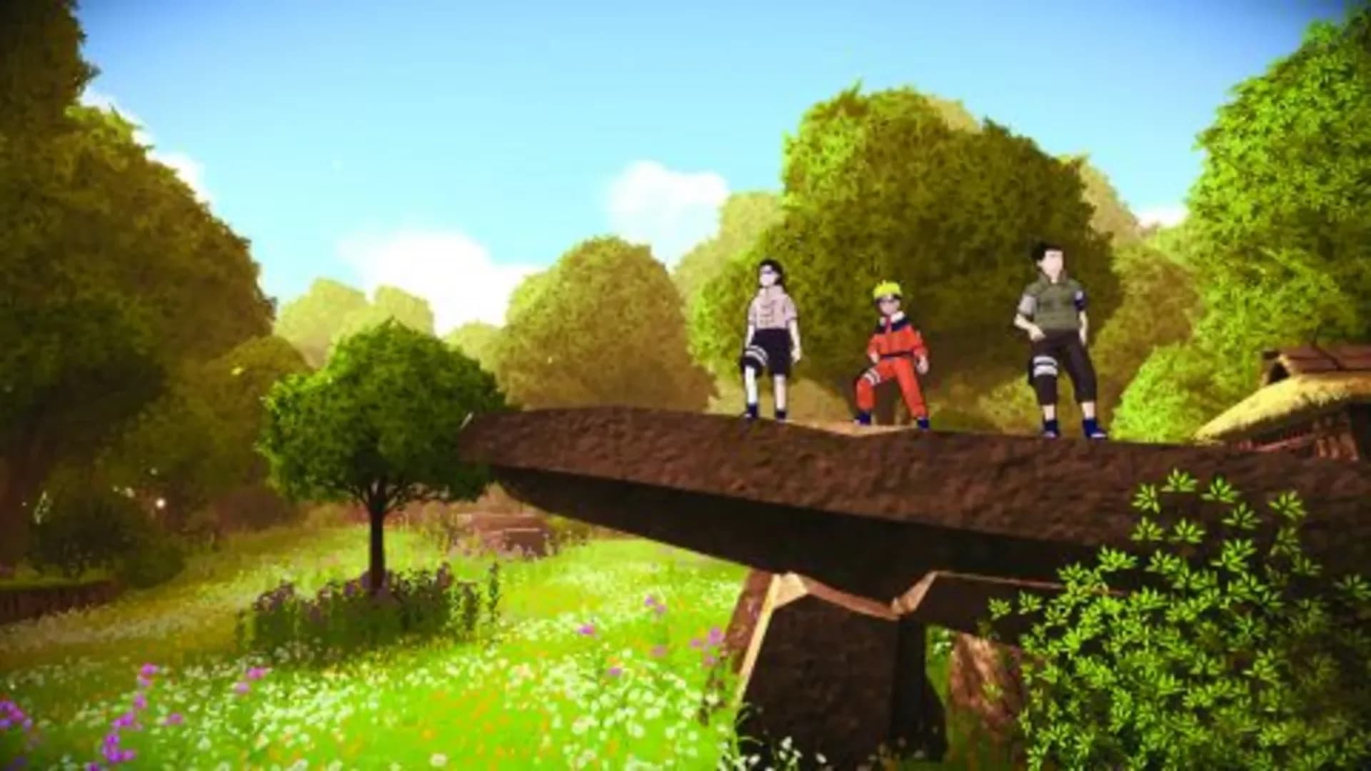image backdrop image