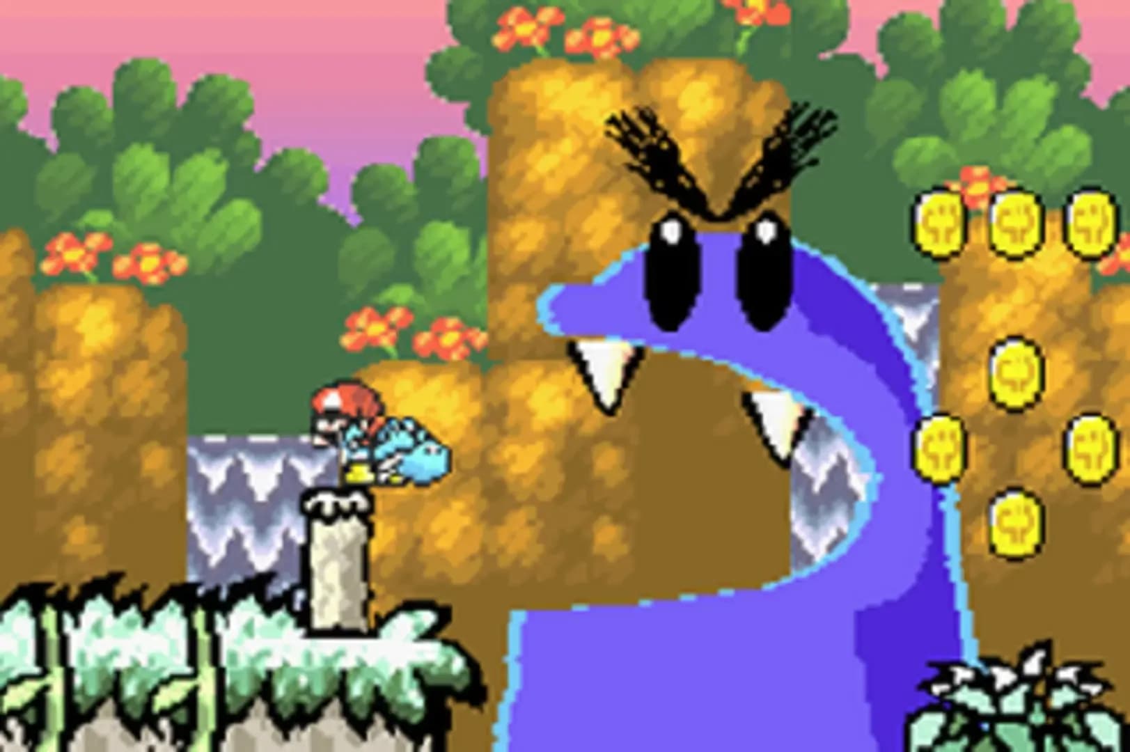 image backdrop image