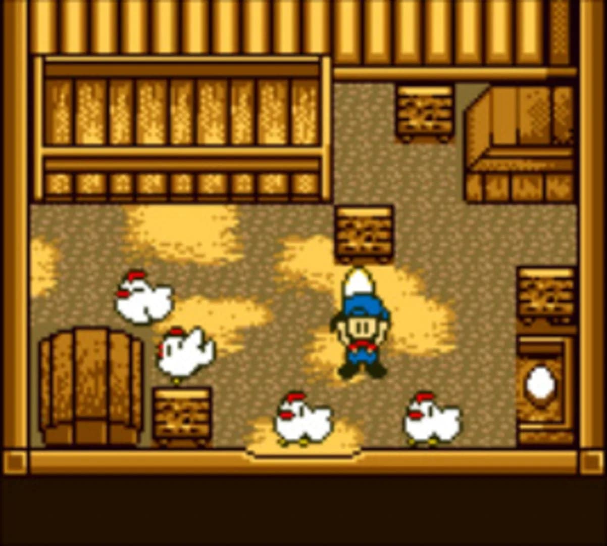 image backdrop image