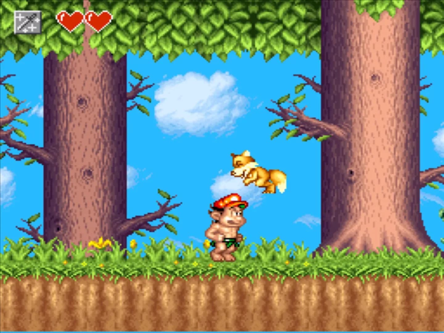 image backdrop image