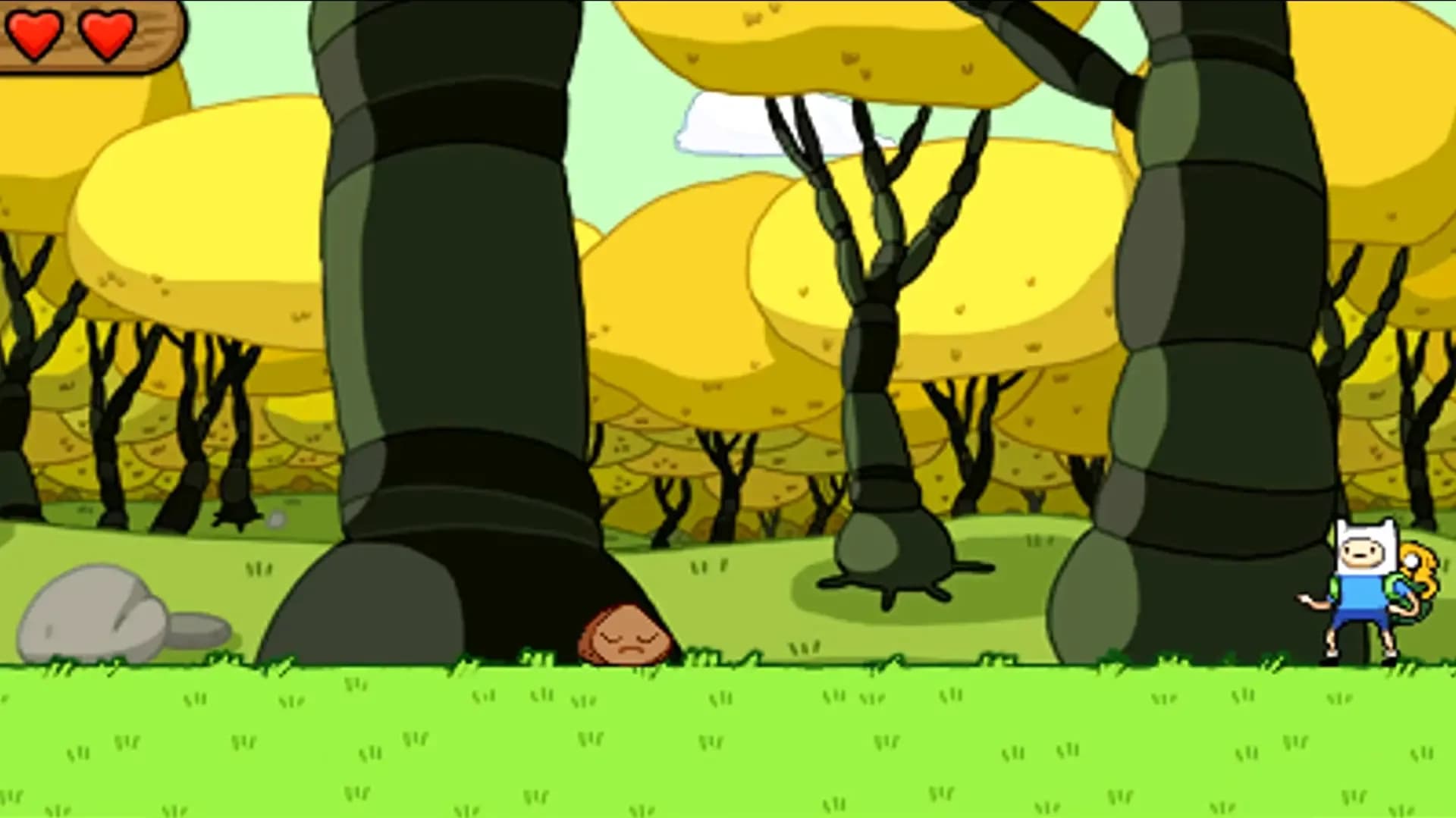 image backdrop image