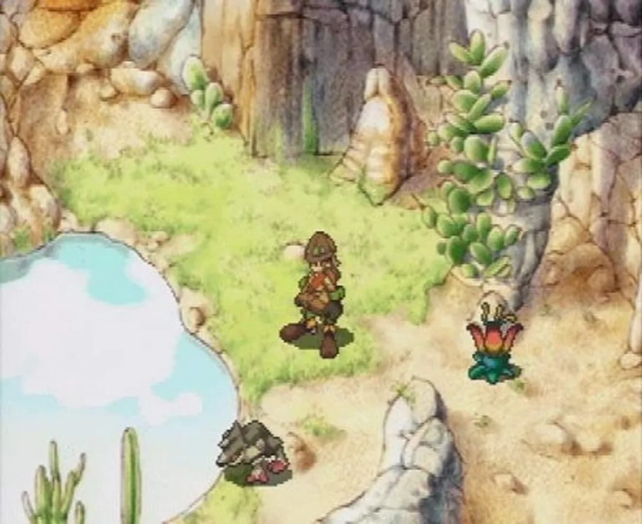 image backdrop image