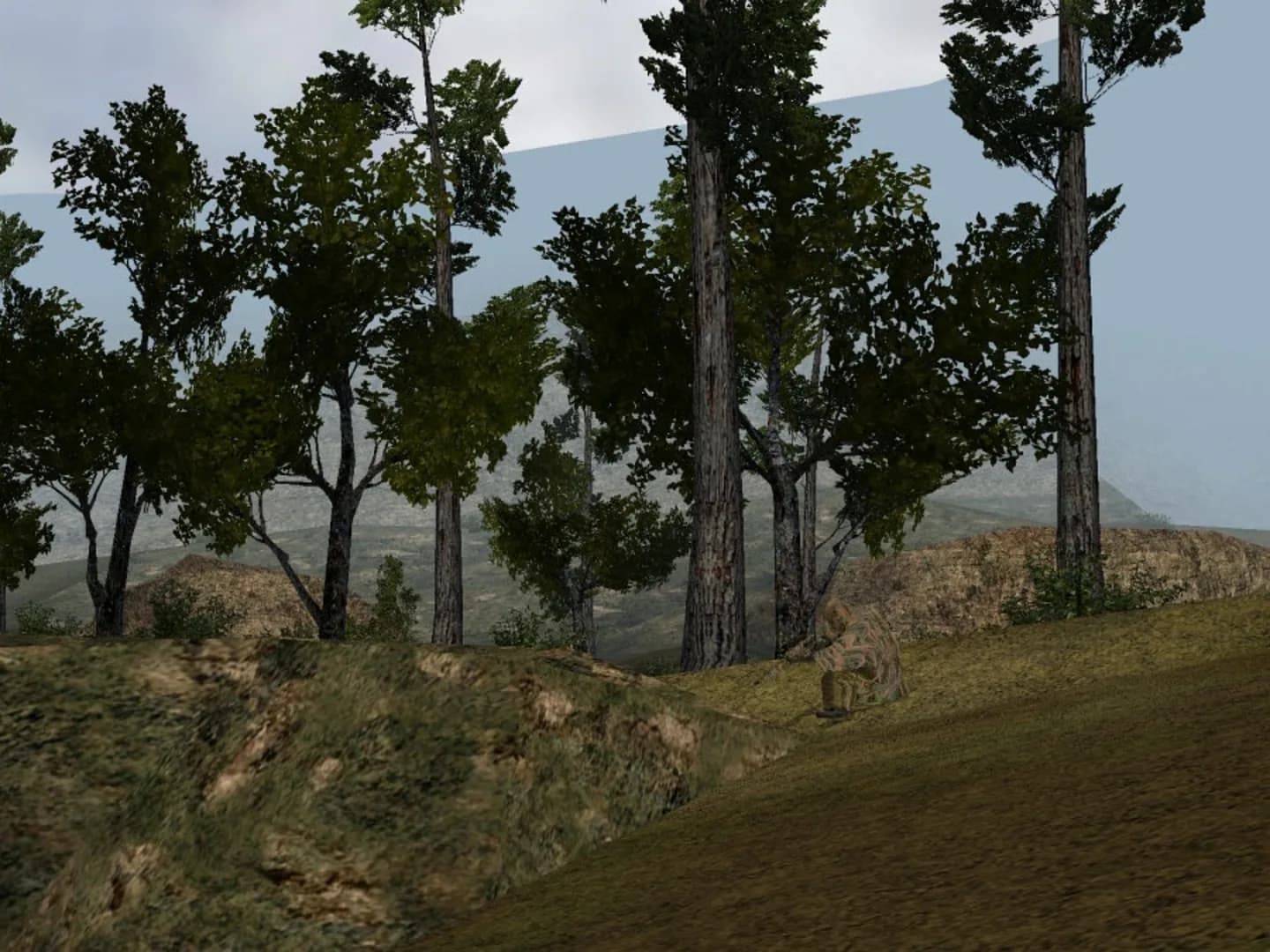 image backdrop image