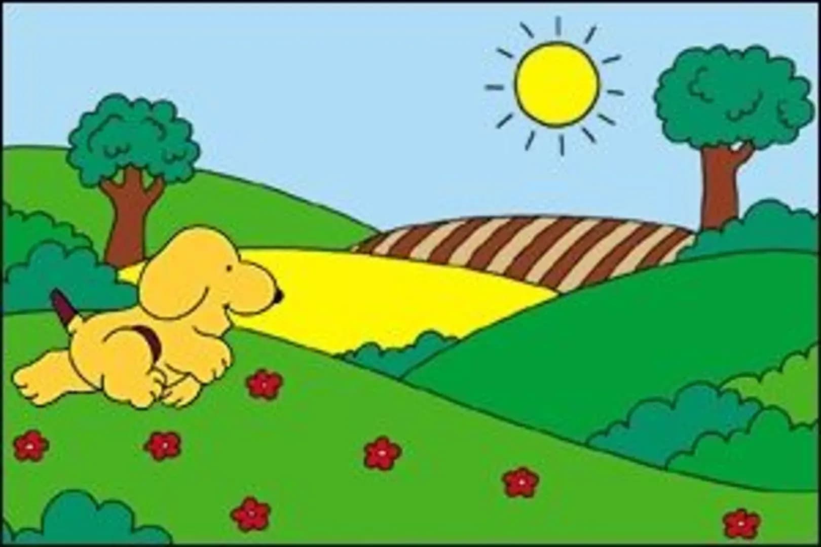 image backdrop image
