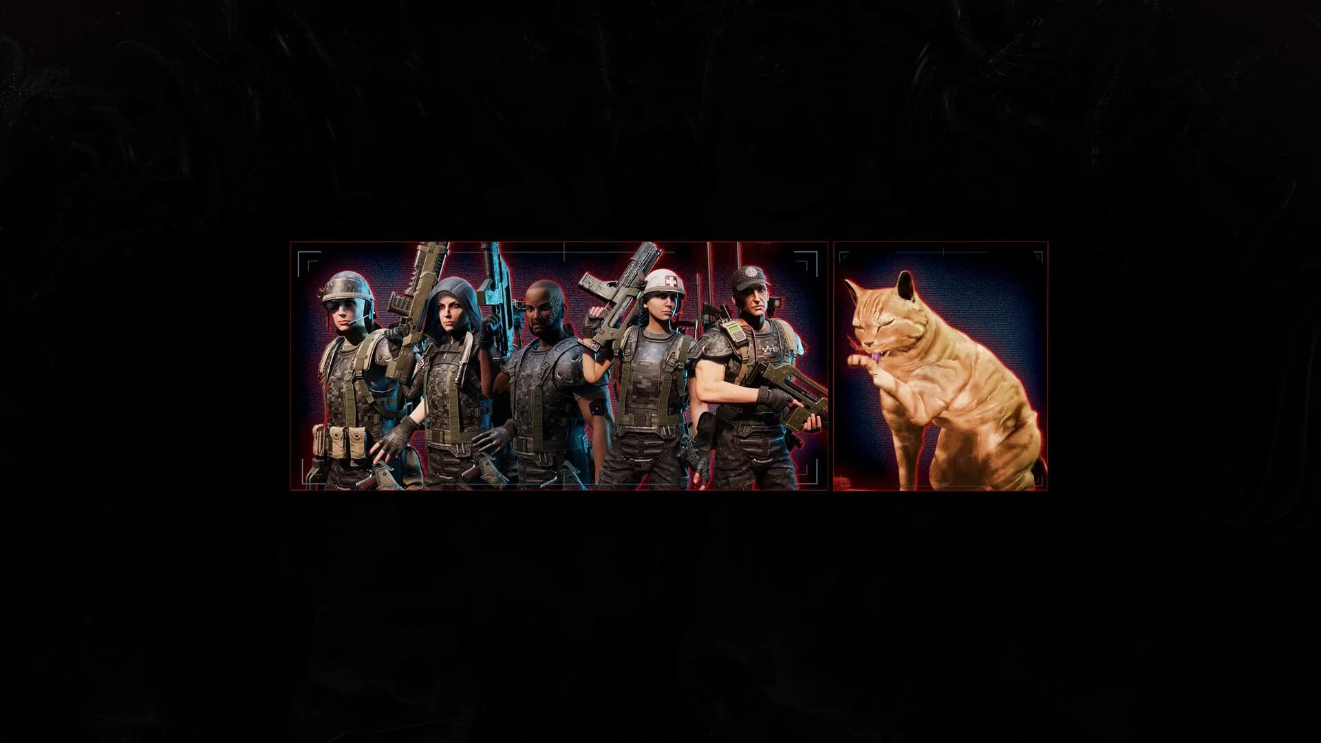 image backdrop image