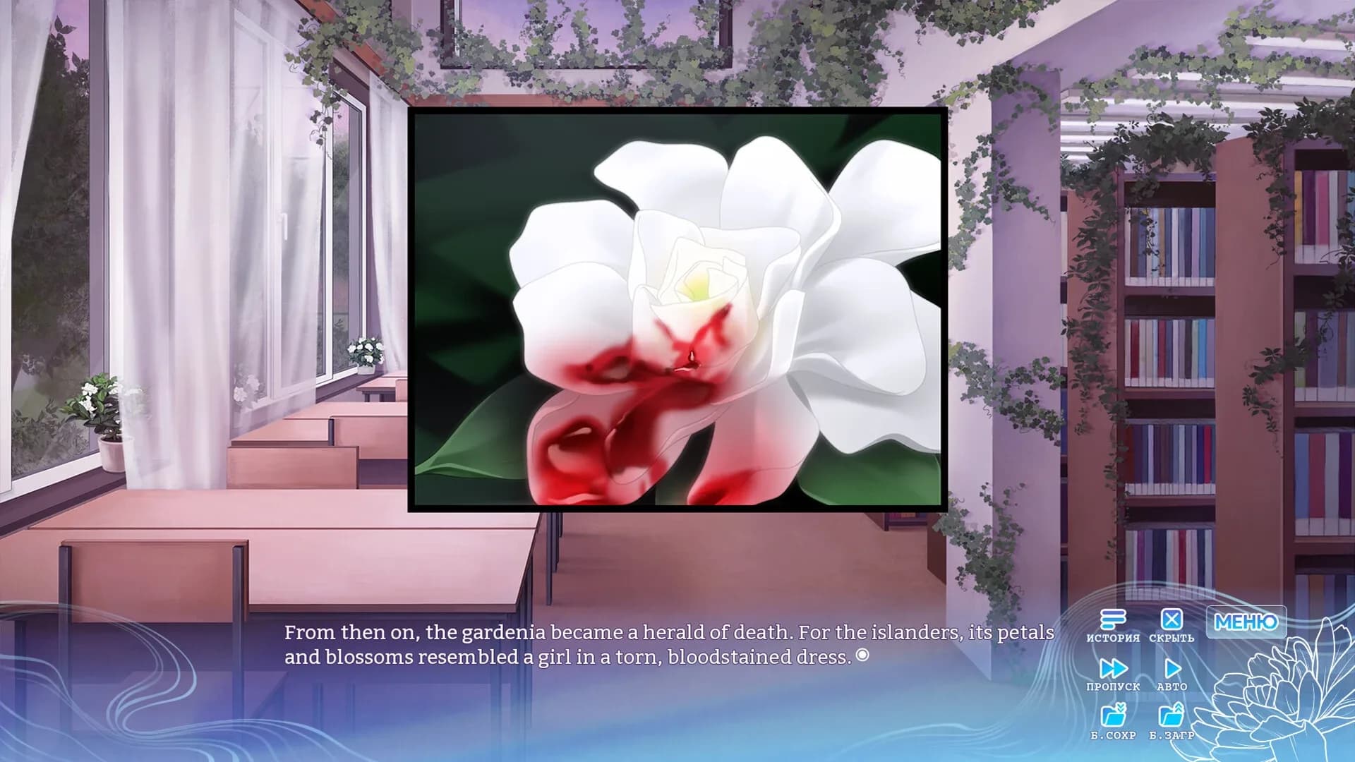 image backdrop image