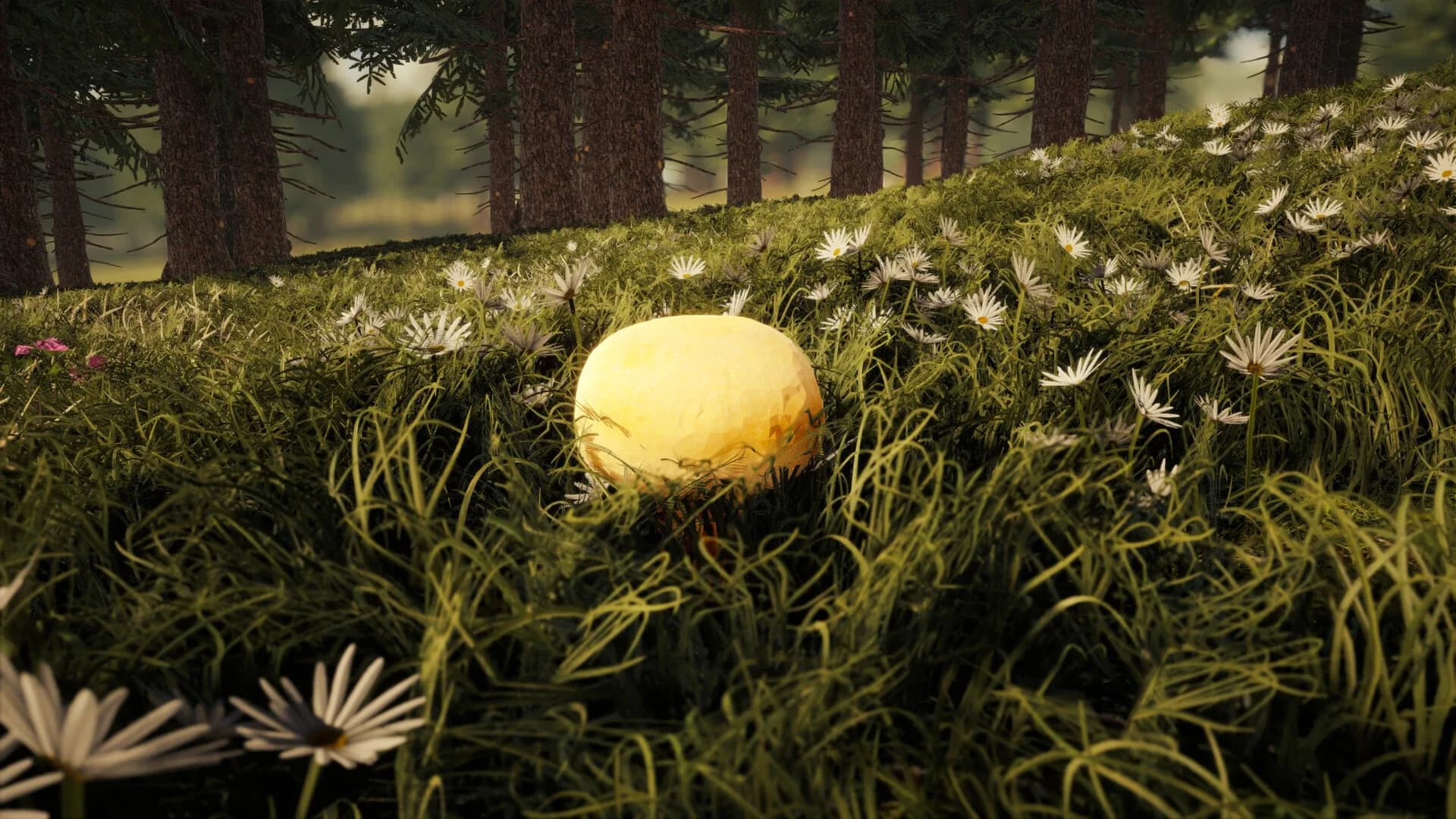 image backdrop image