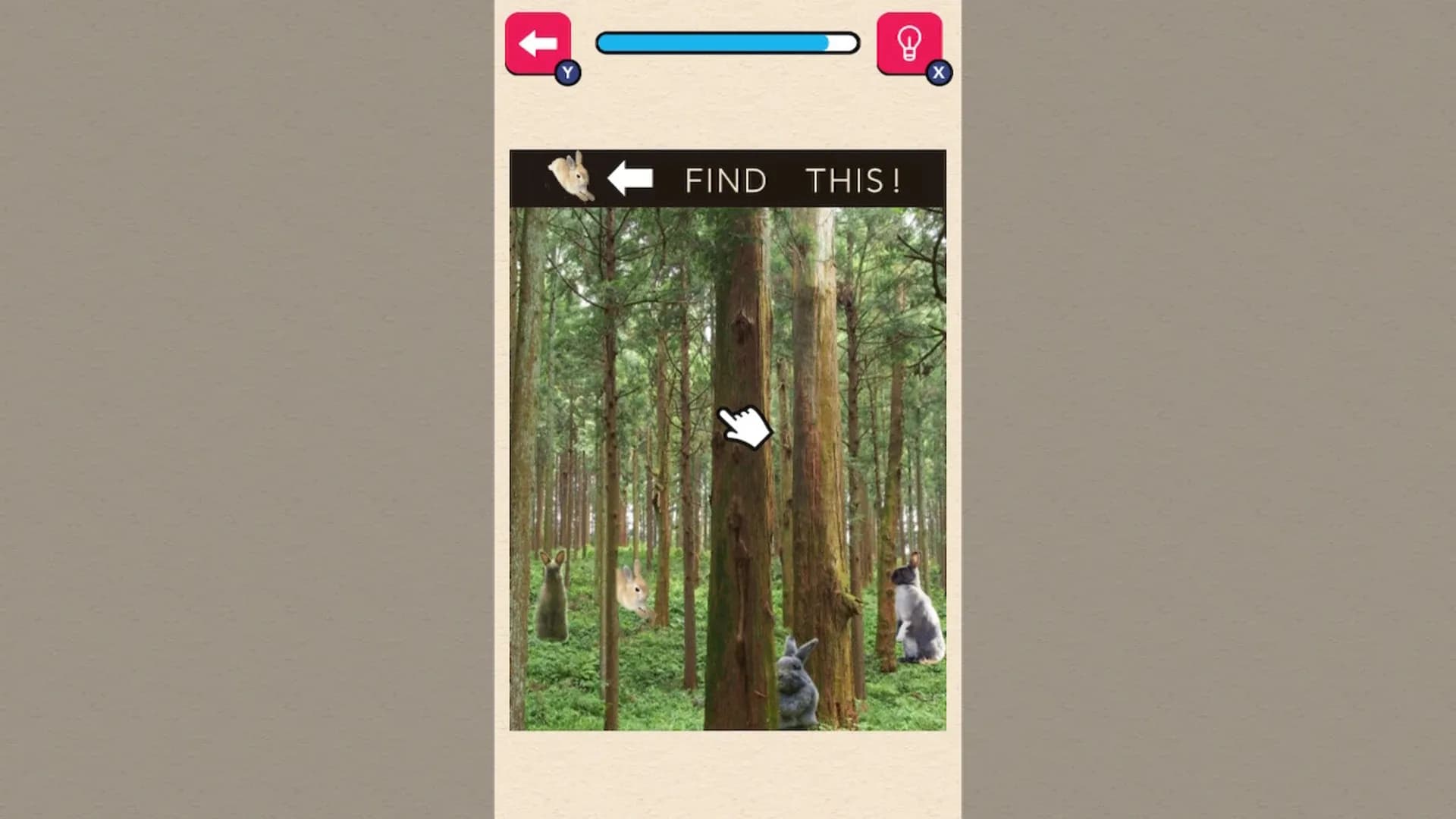 image backdrop image