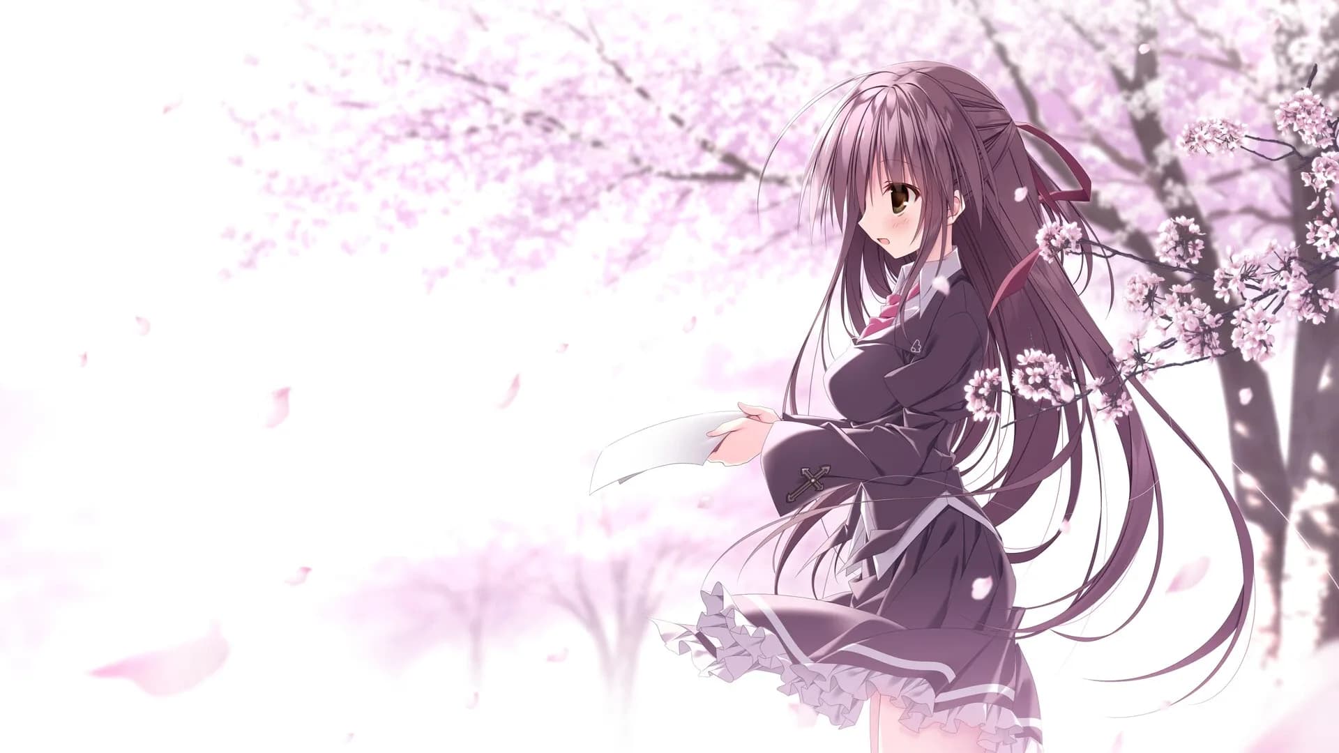 image backdrop image