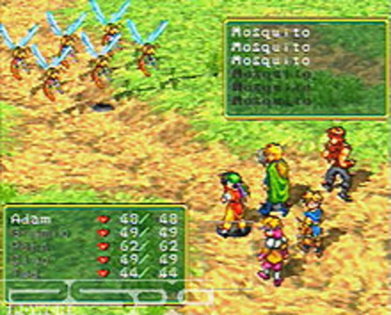 image backdrop image