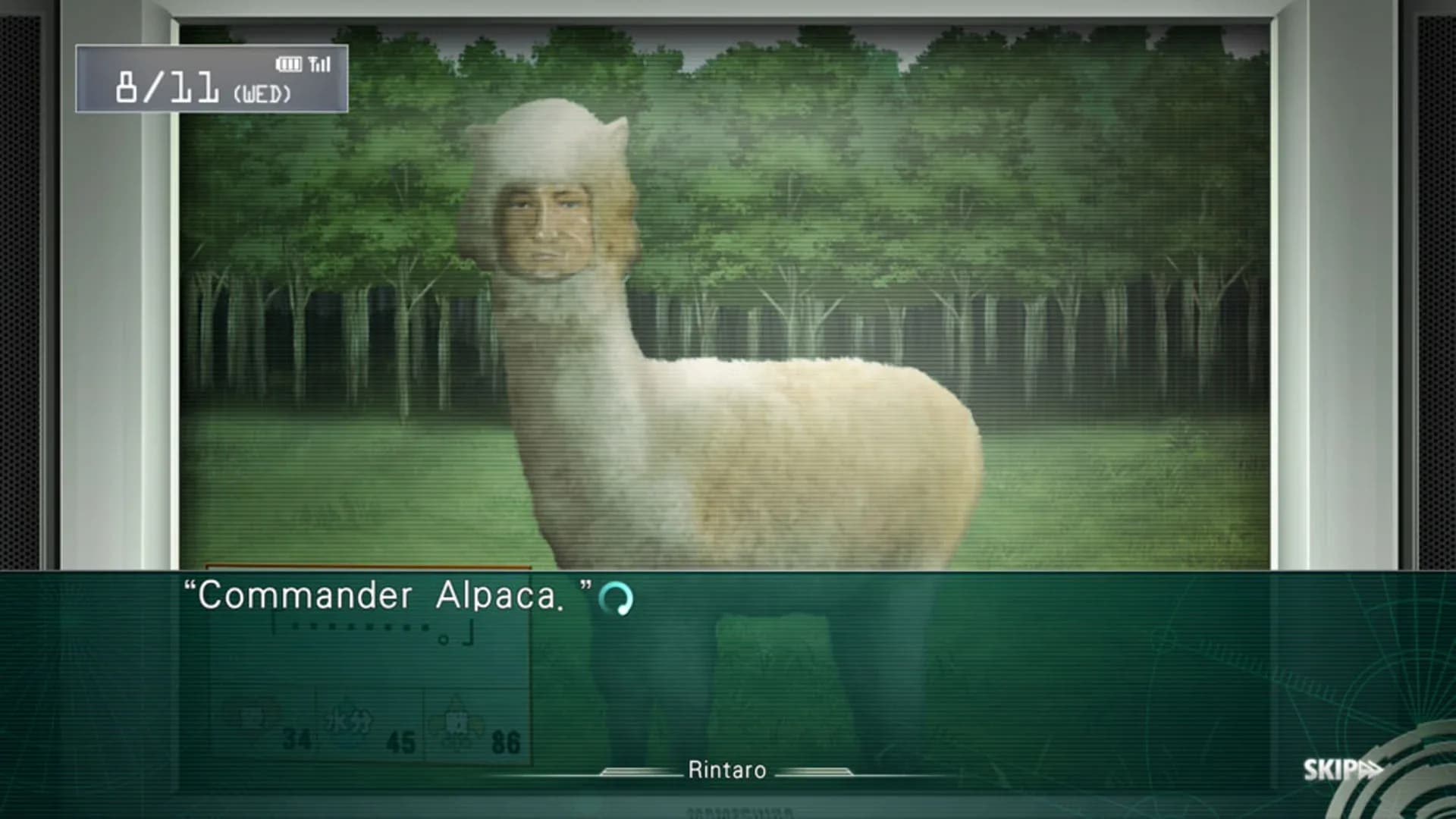 image backdrop image
