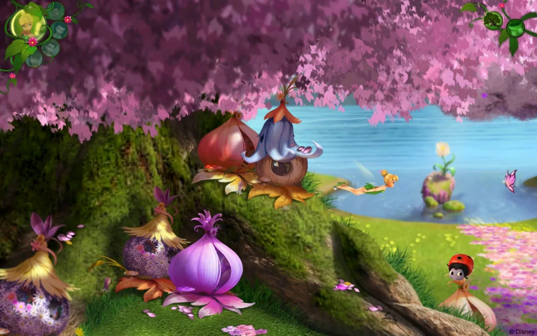 image backdrop image