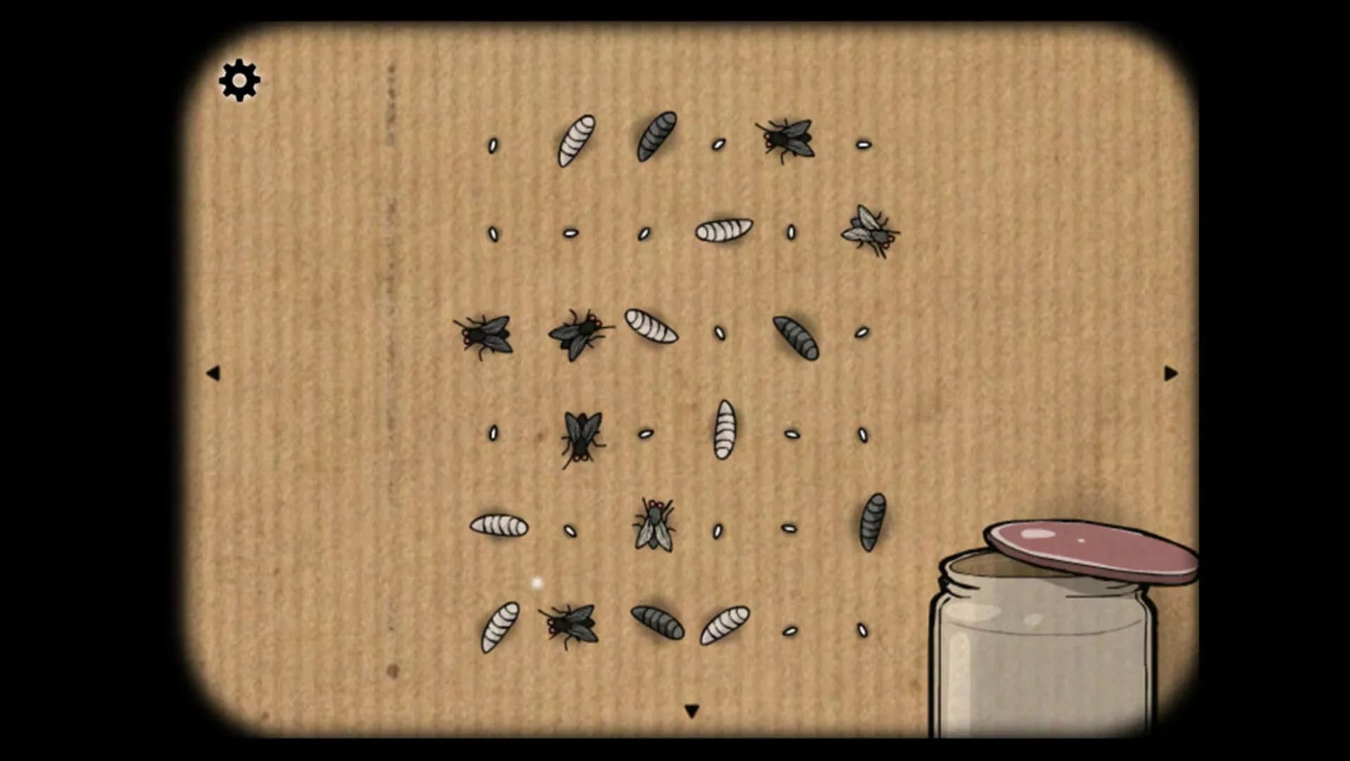image backdrop image