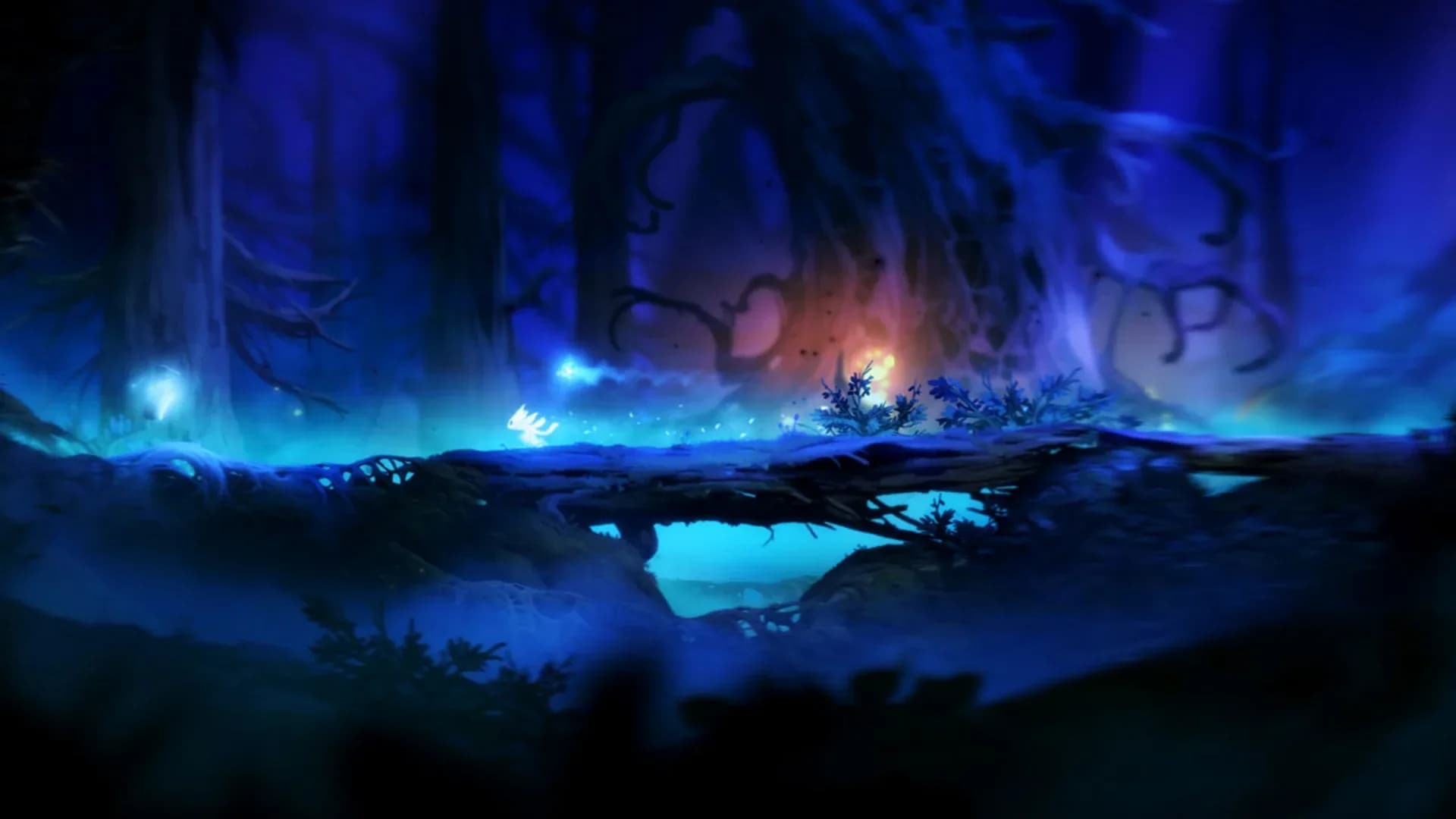 image backdrop image
