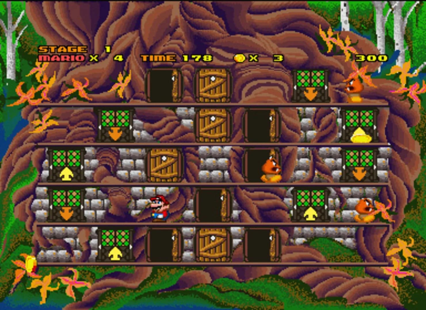 image backdrop image