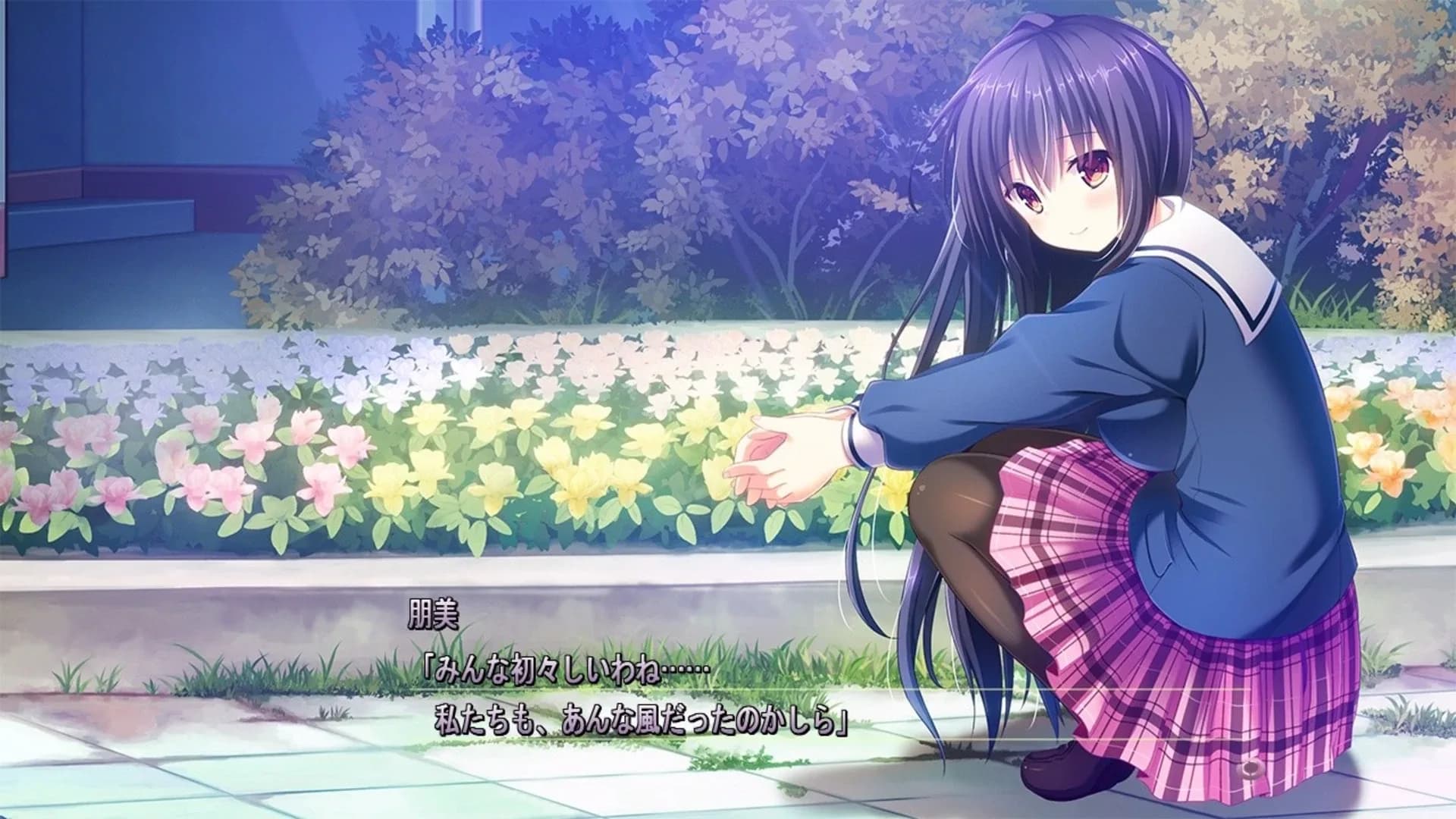 image backdrop image