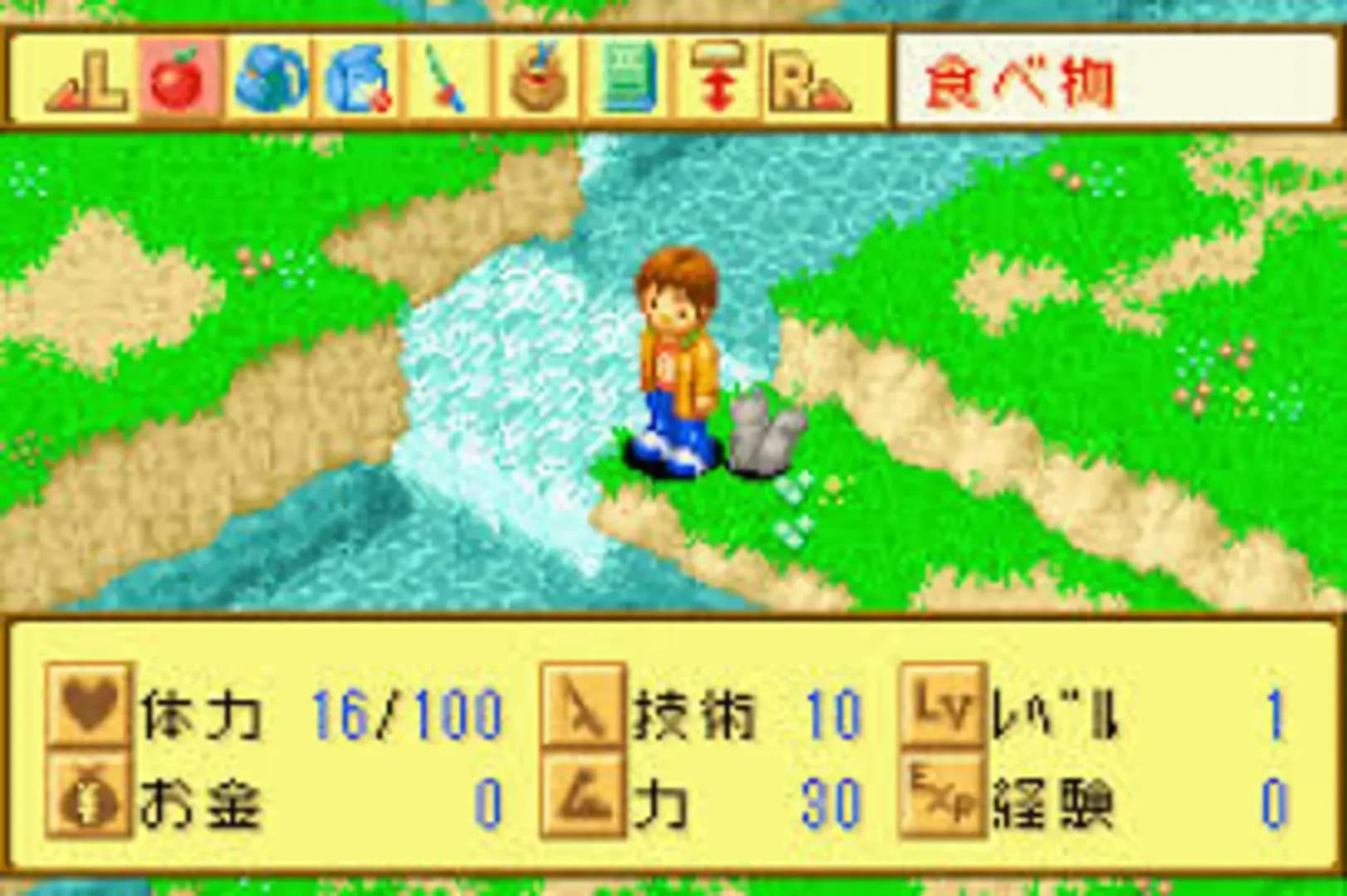 image backdrop image