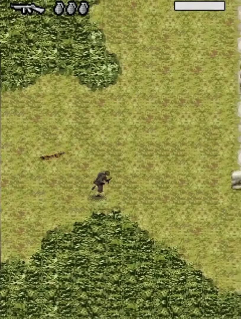 image backdrop image