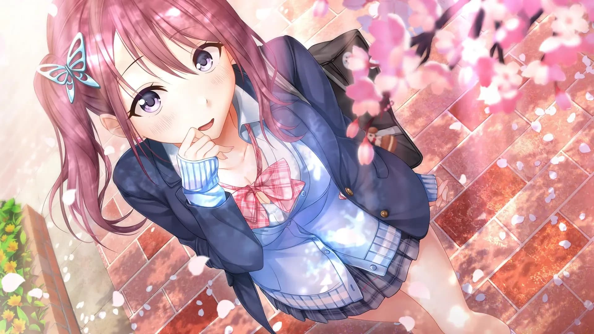 image backdrop image