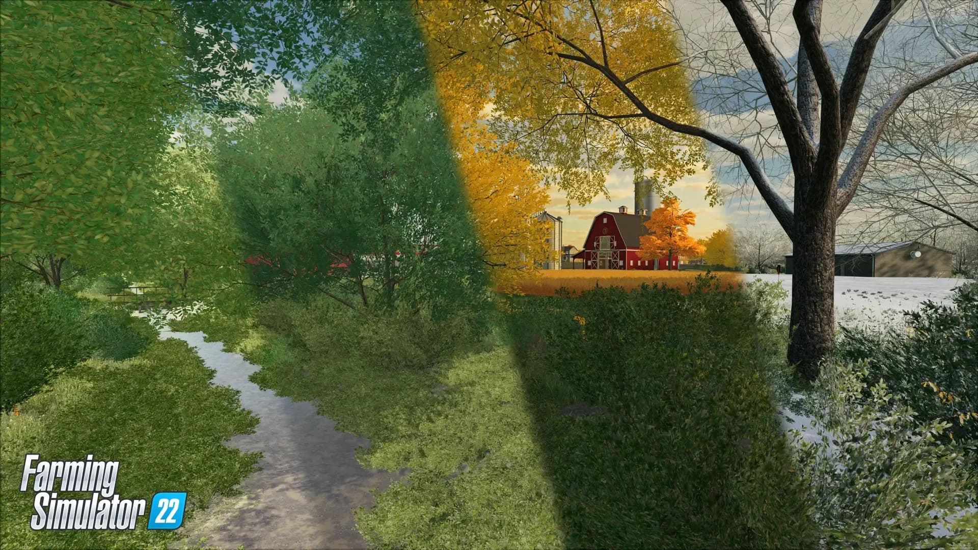 image backdrop image