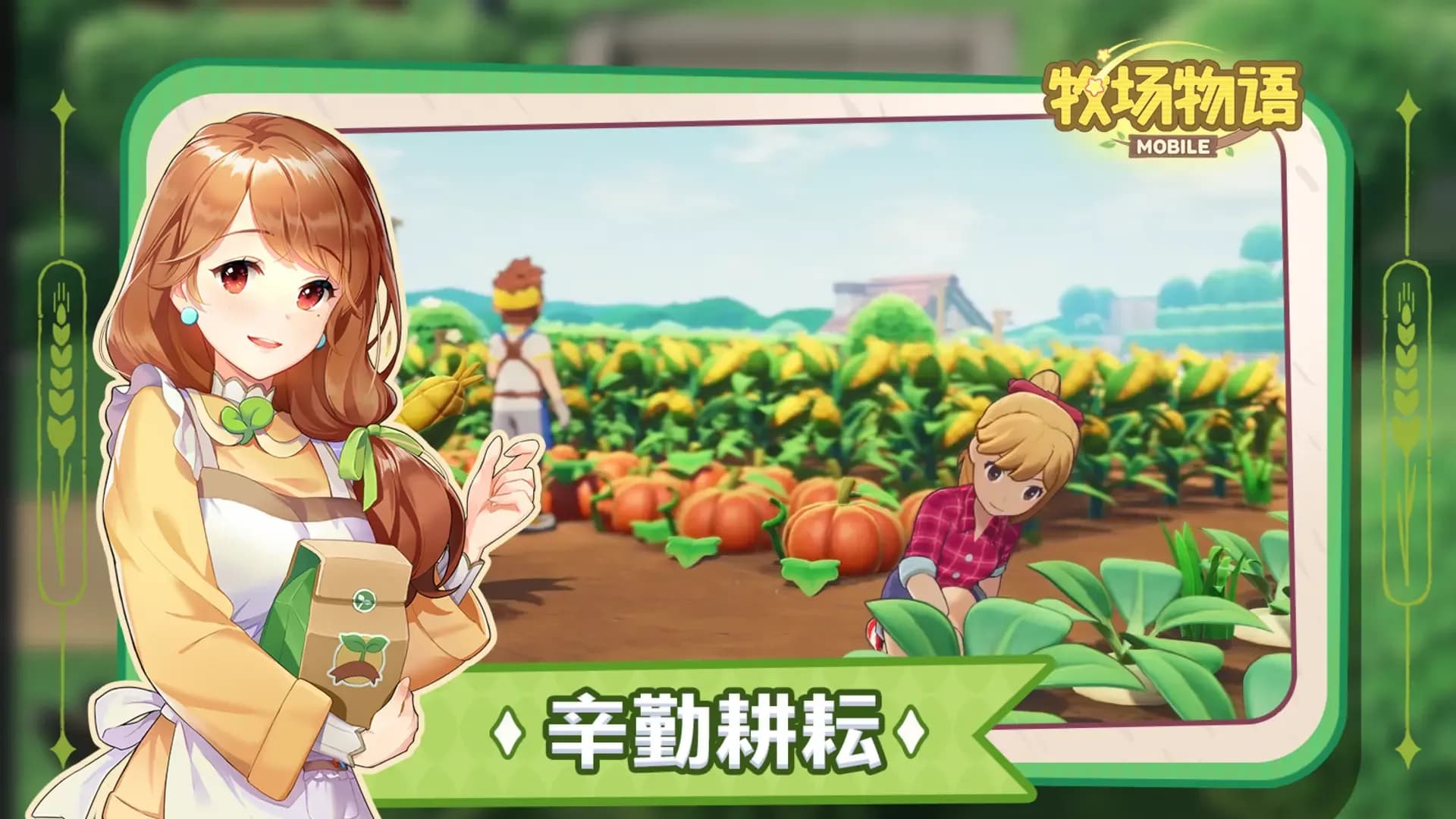 image backdrop image