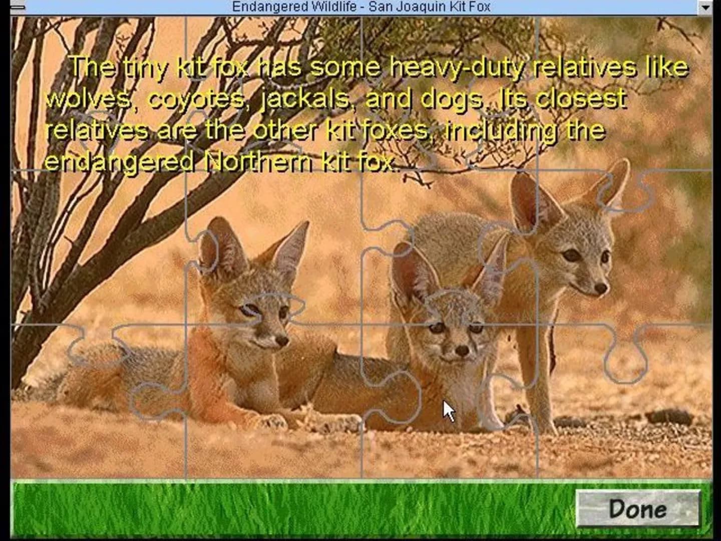 image backdrop image