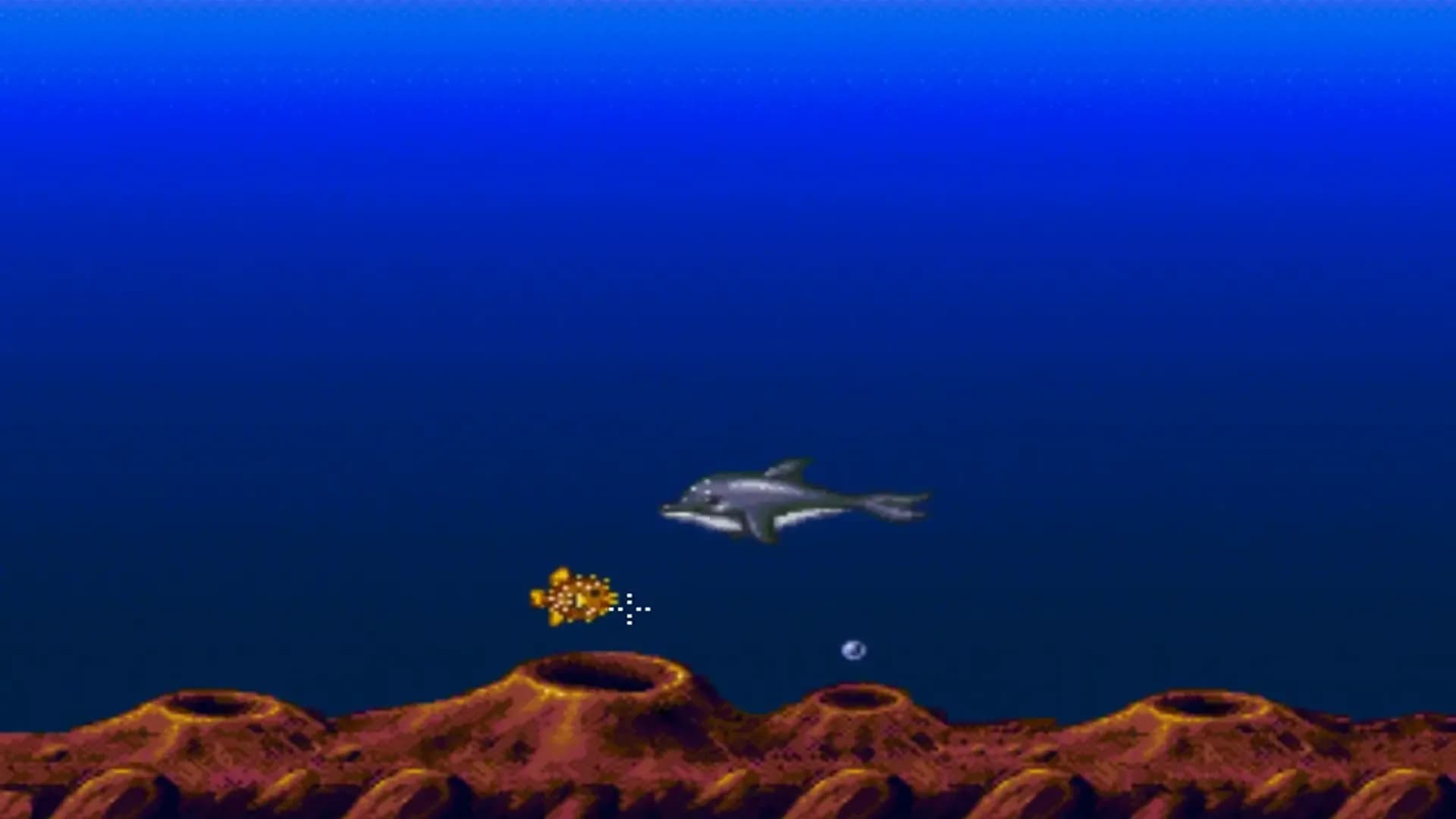image backdrop image