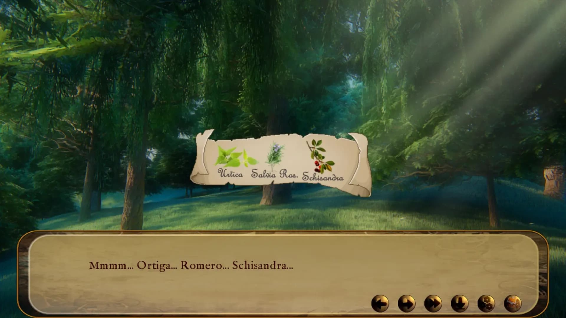 image backdrop image