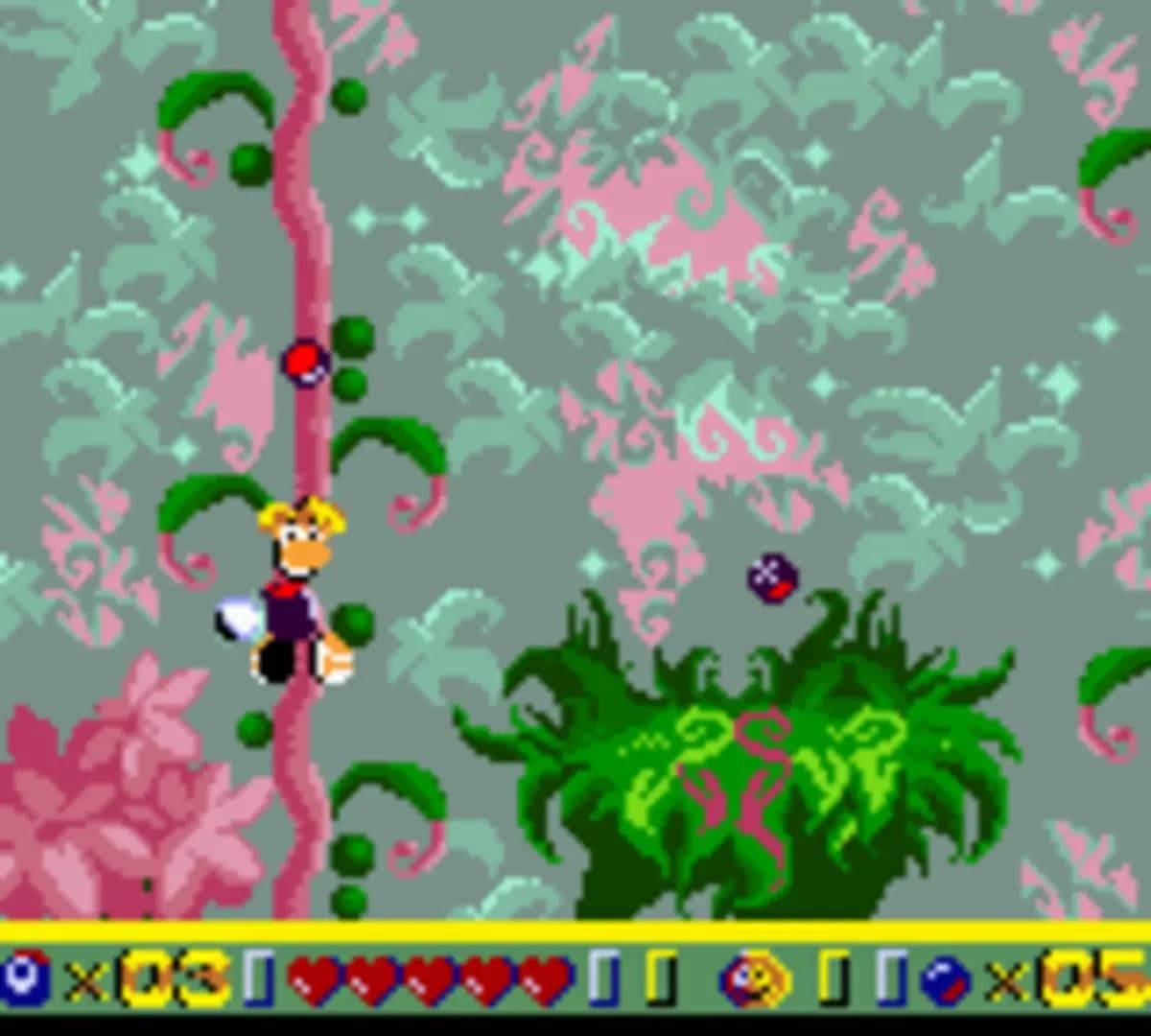 image backdrop image