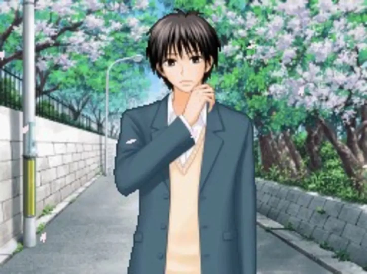 image backdrop image