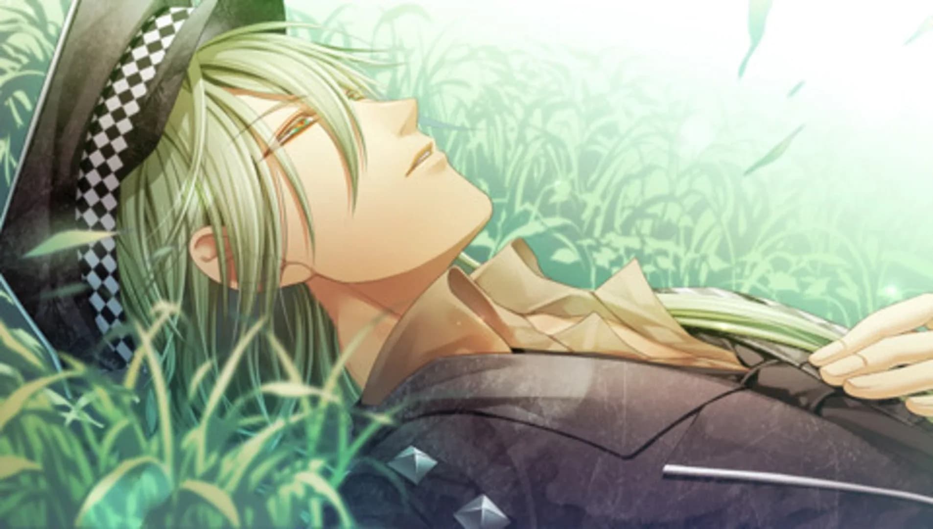 image backdrop image