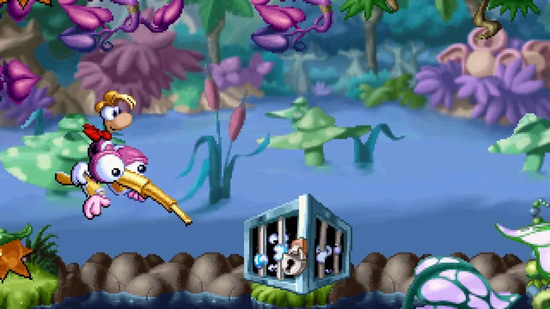 image backdrop image
