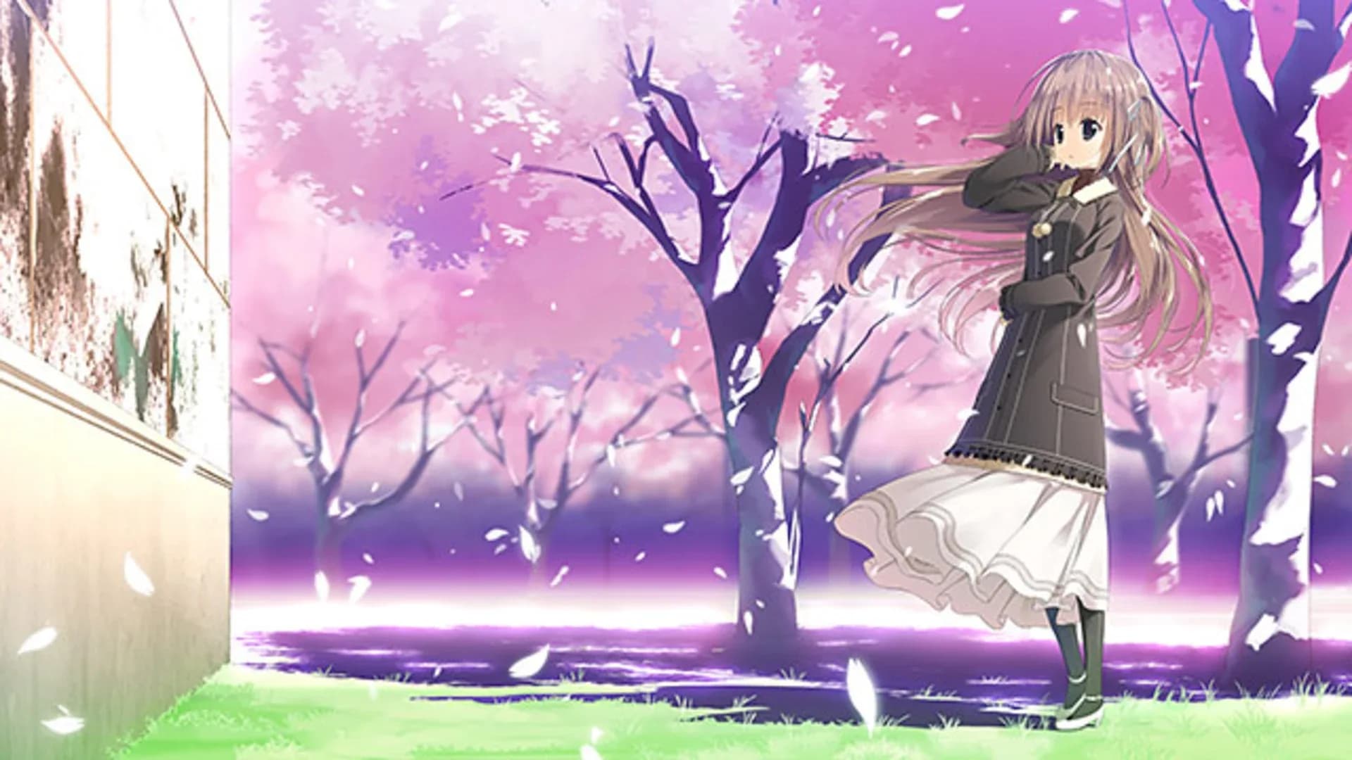 image backdrop image