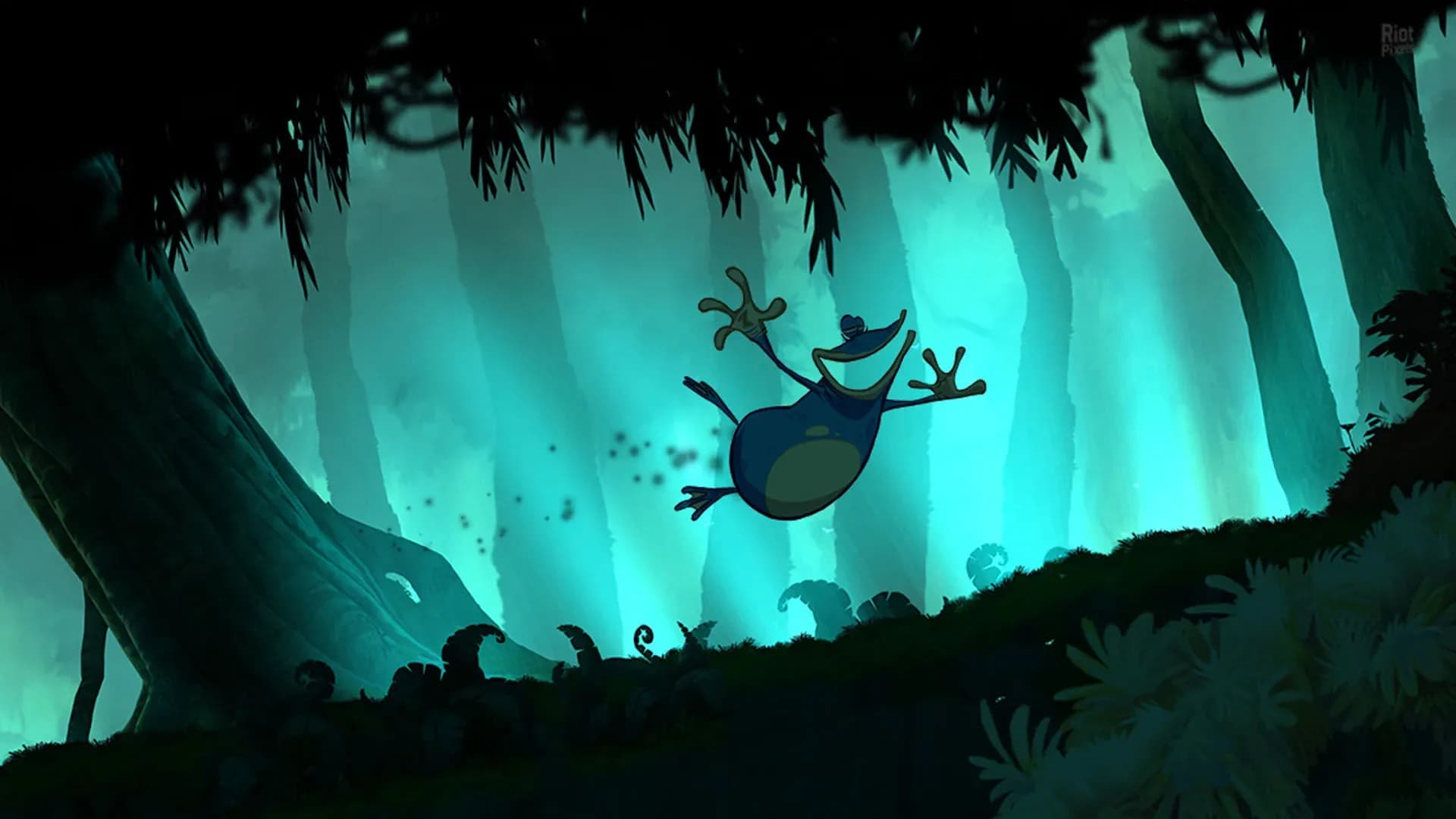 image backdrop image