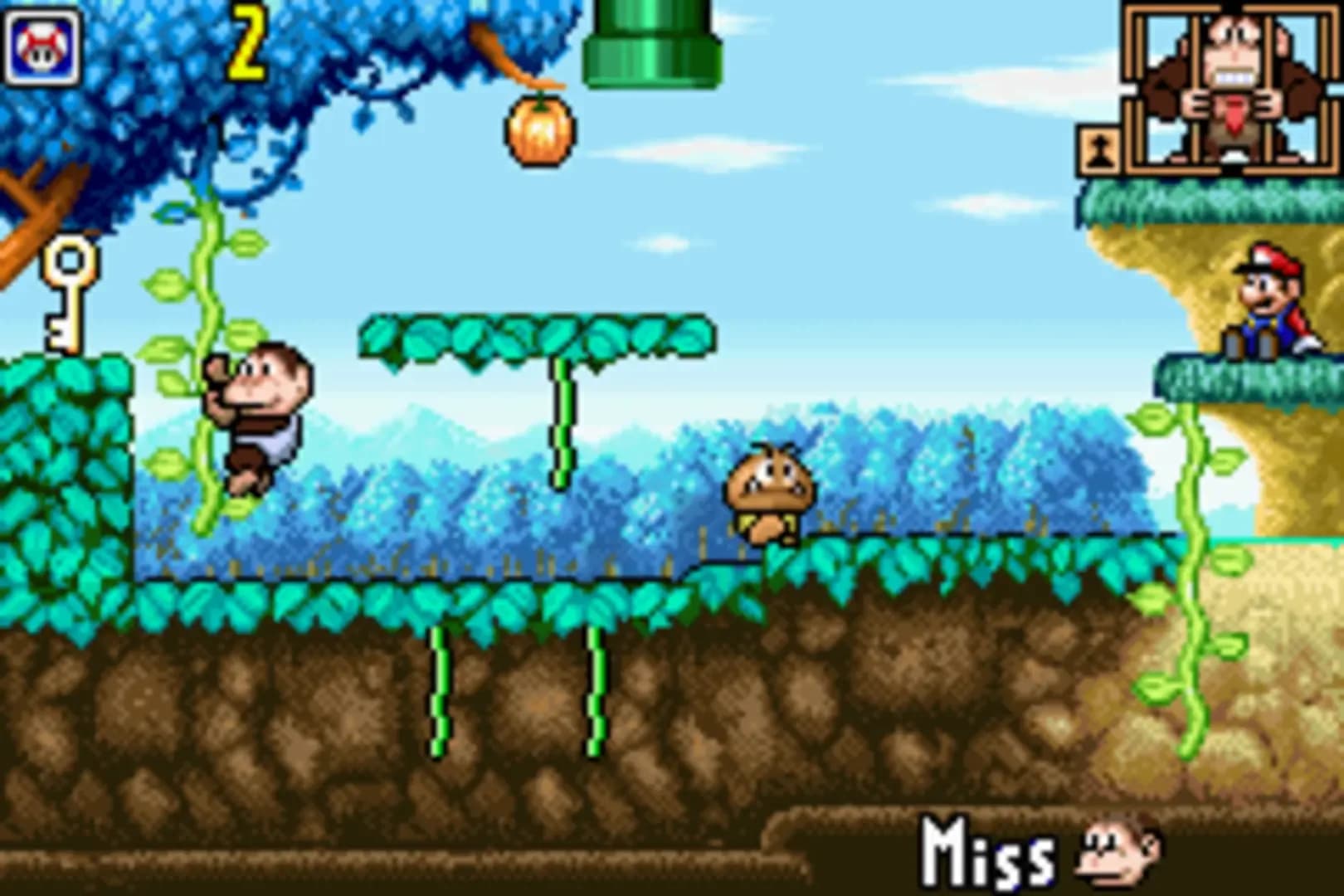 image backdrop image