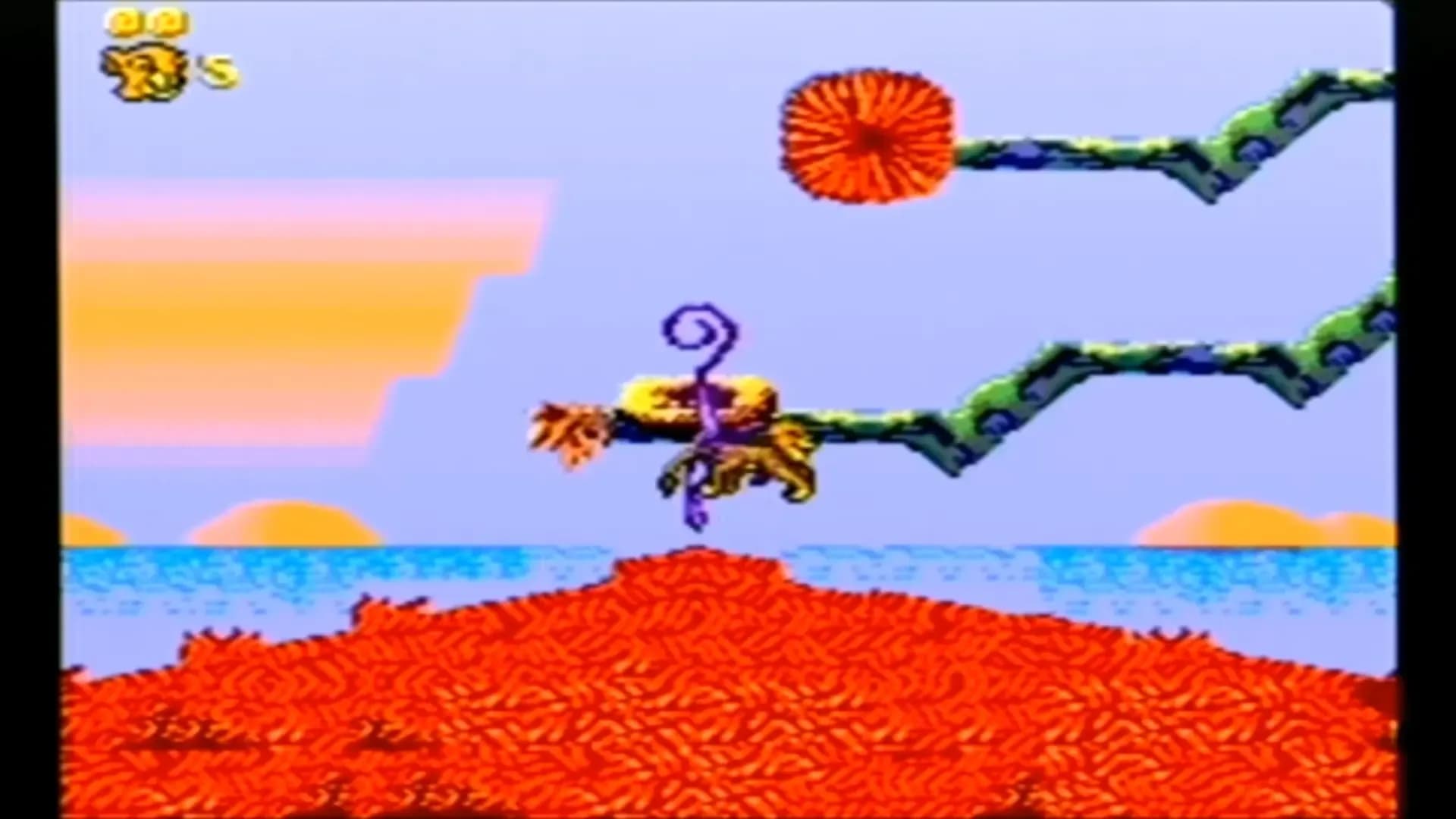 image backdrop image