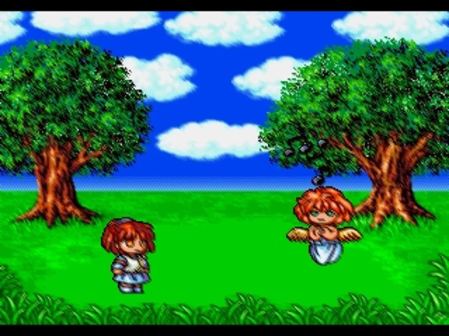 image backdrop image