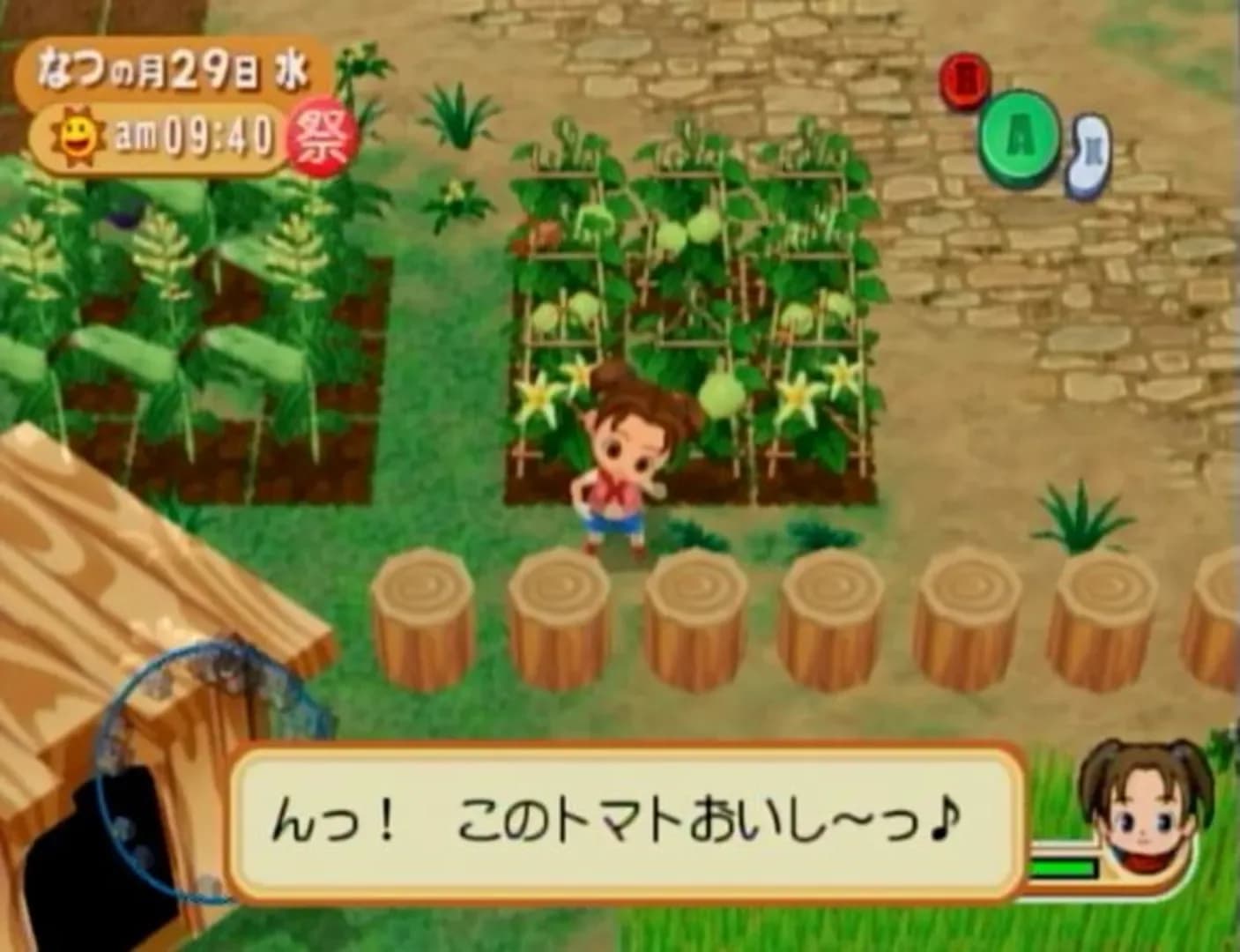 image backdrop image