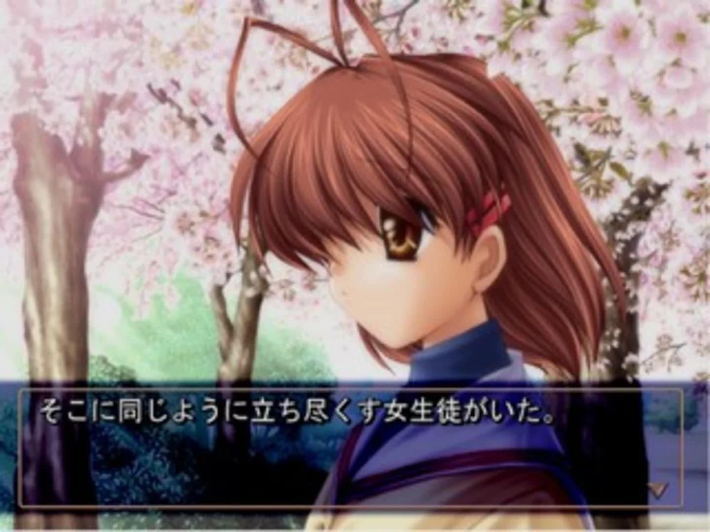 image backdrop image