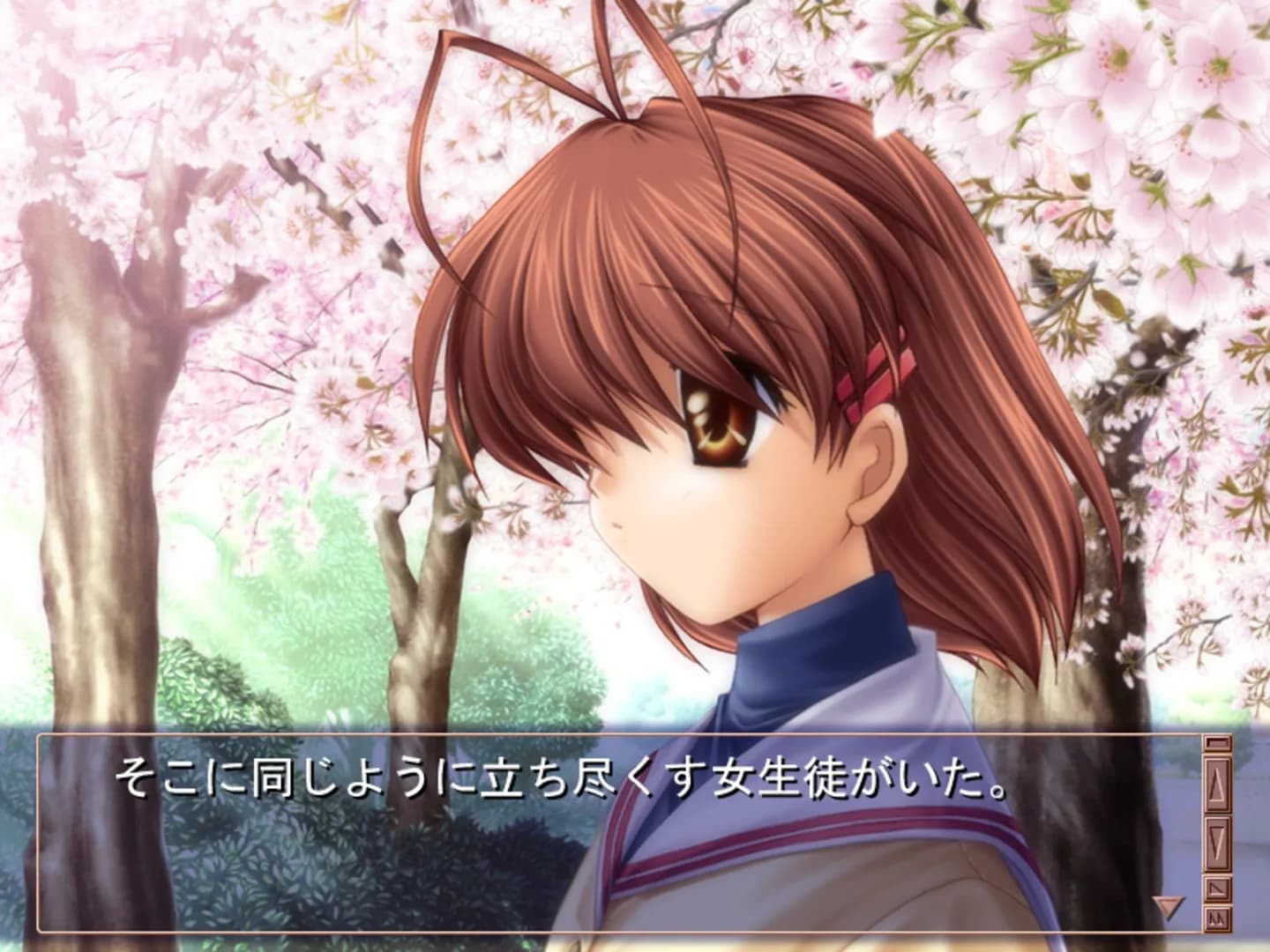 image backdrop image