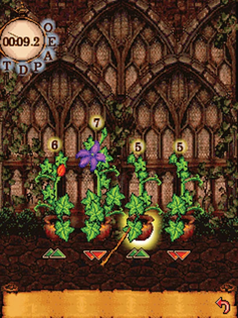 image backdrop image