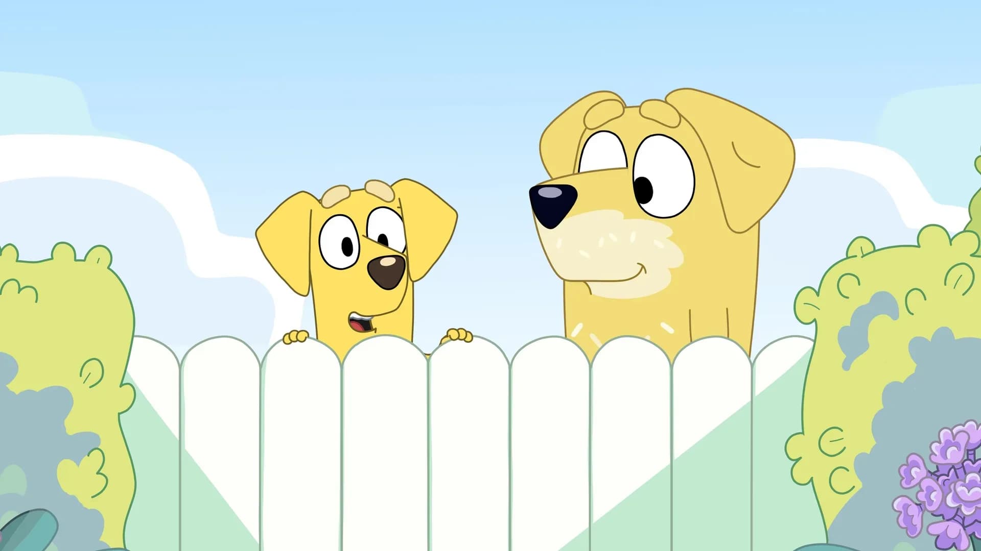 image backdrop image