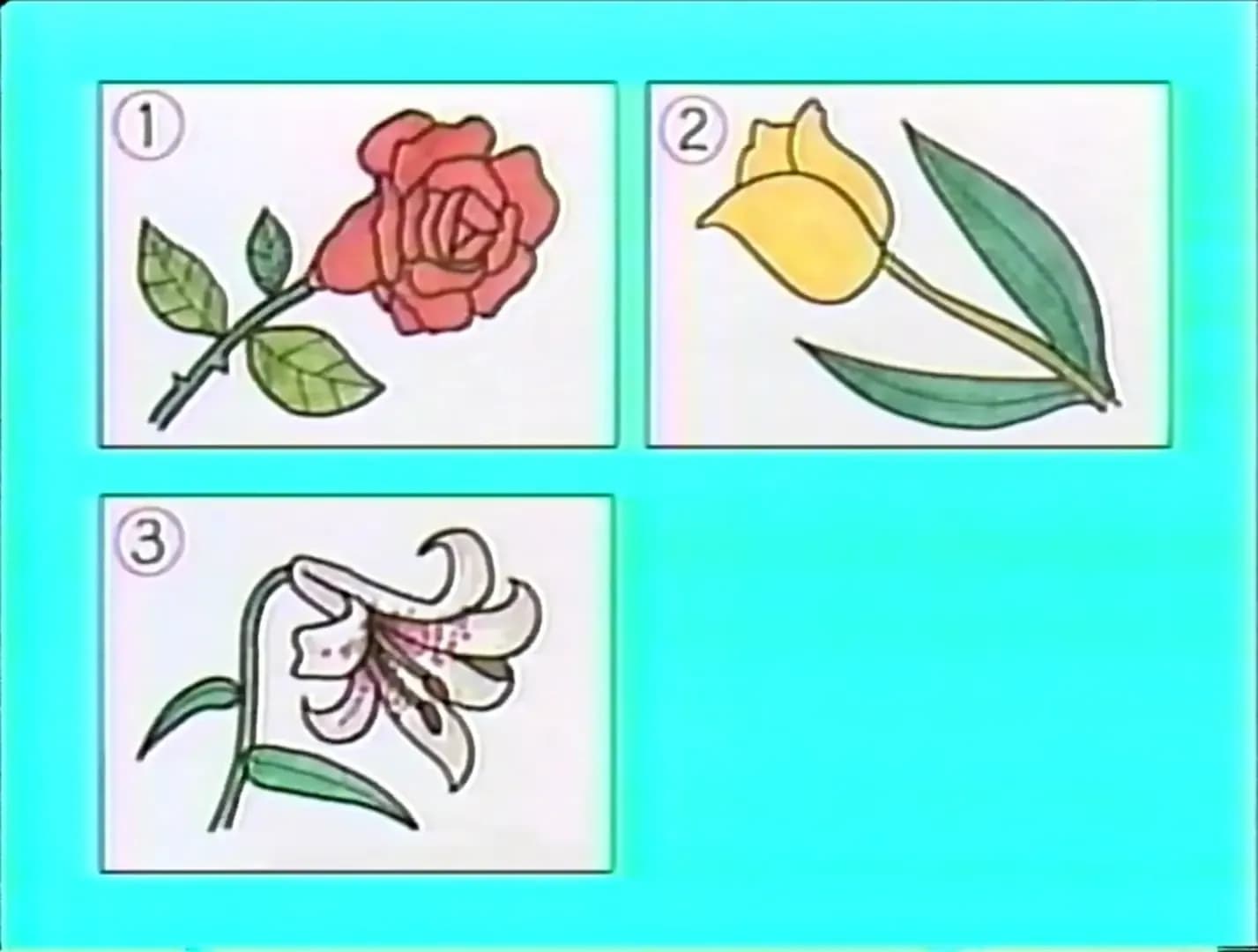 image backdrop image