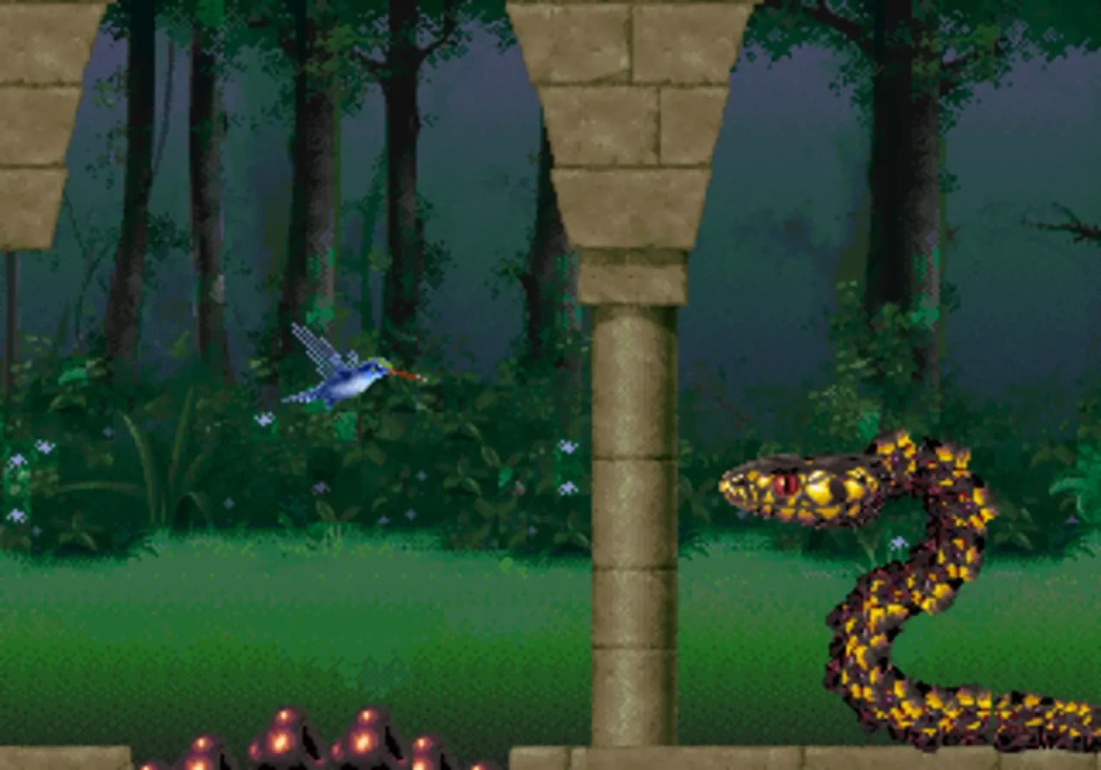 image backdrop image