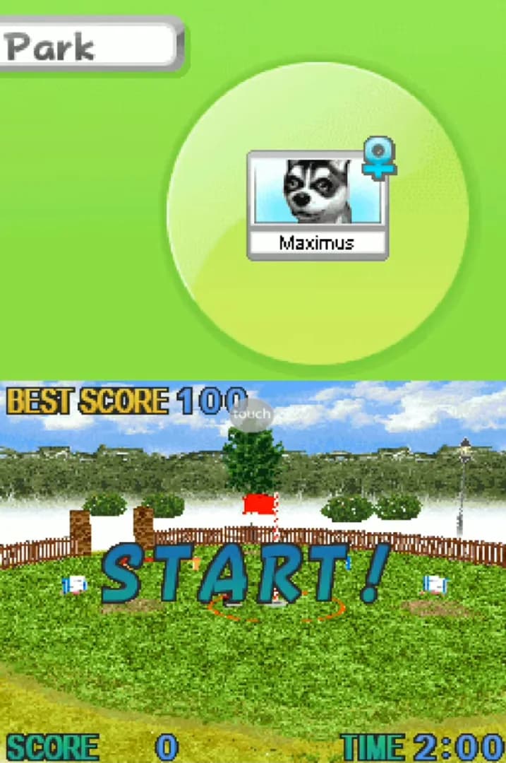 image backdrop image