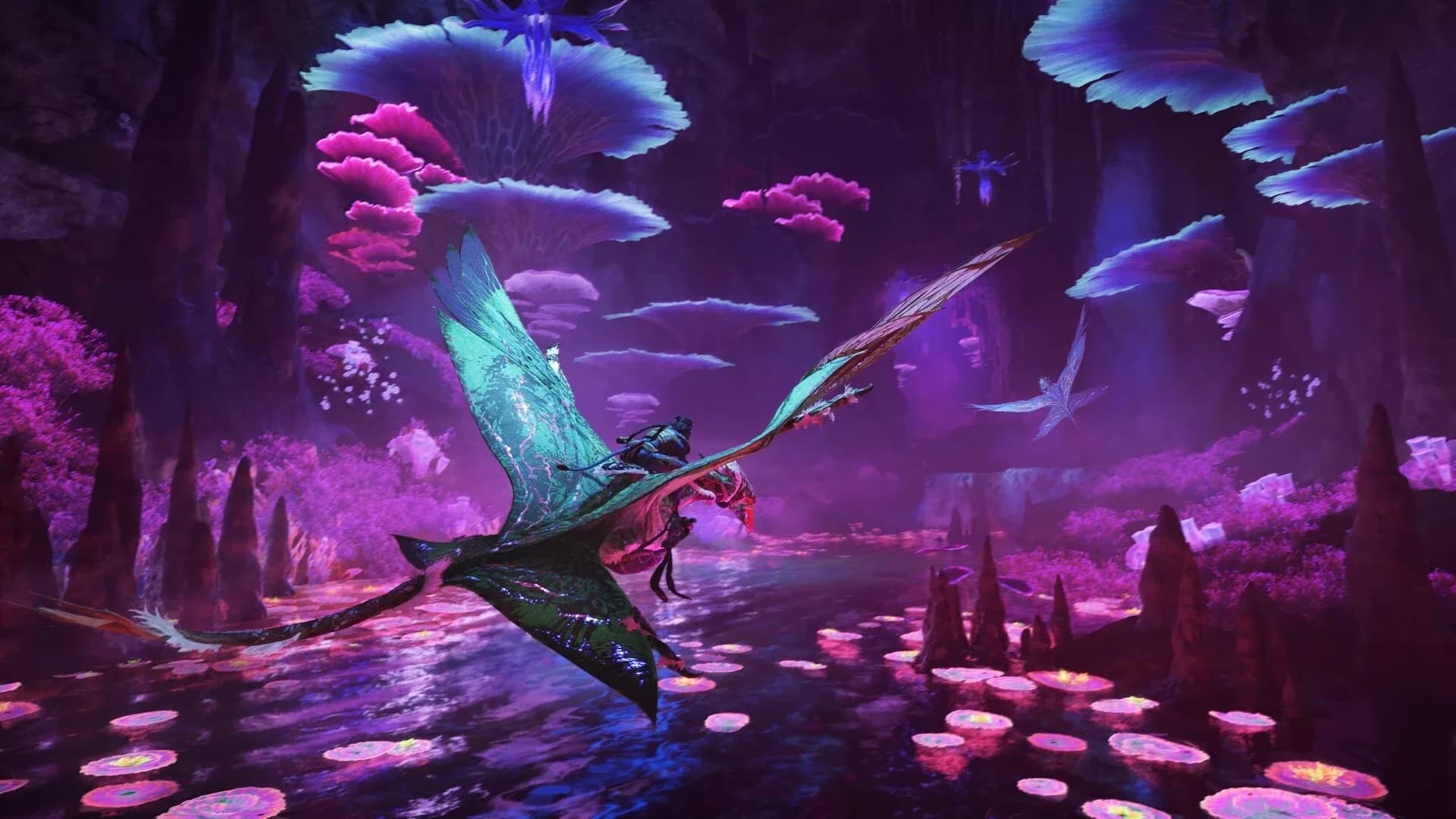 image backdrop image