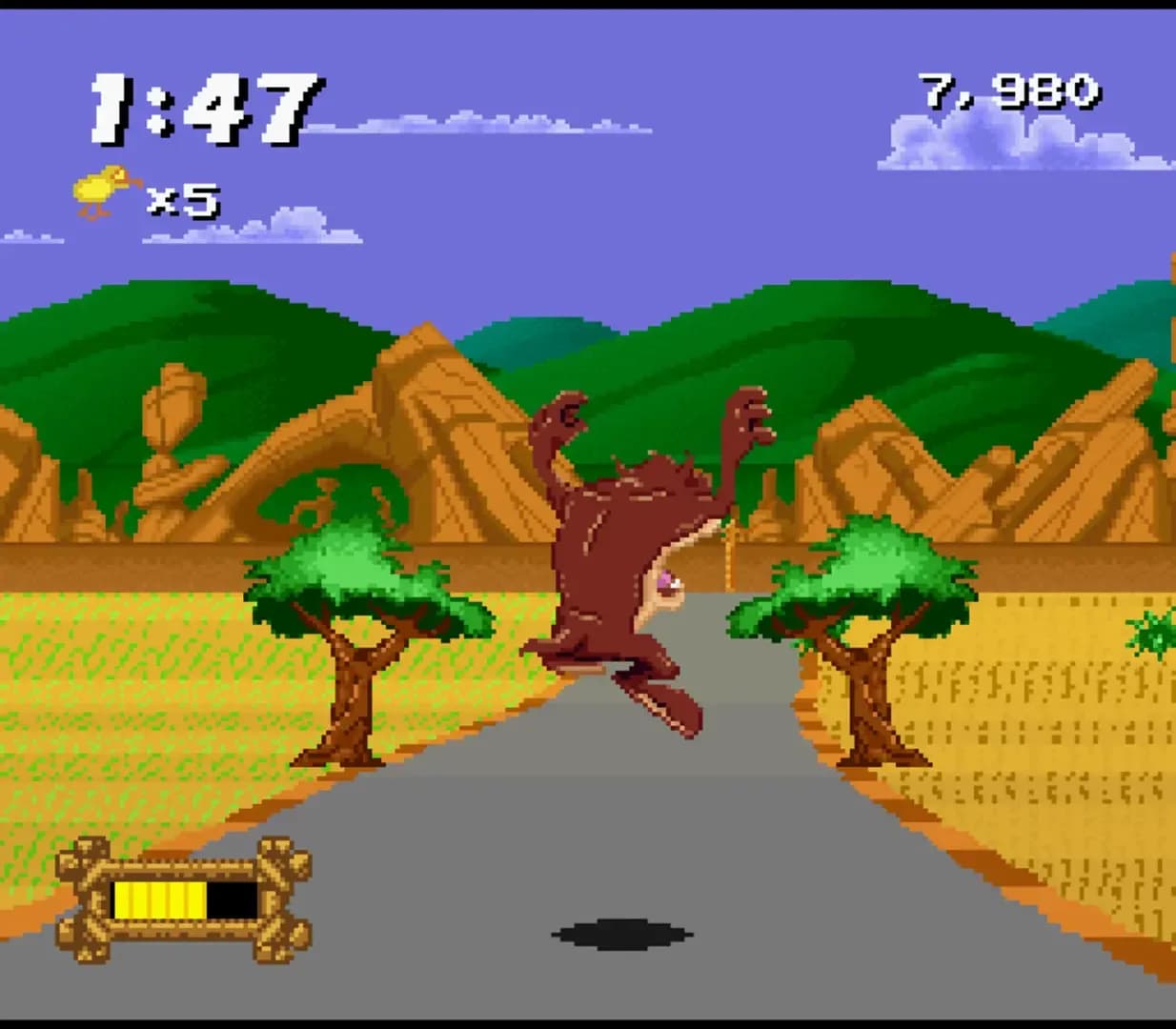 image backdrop image