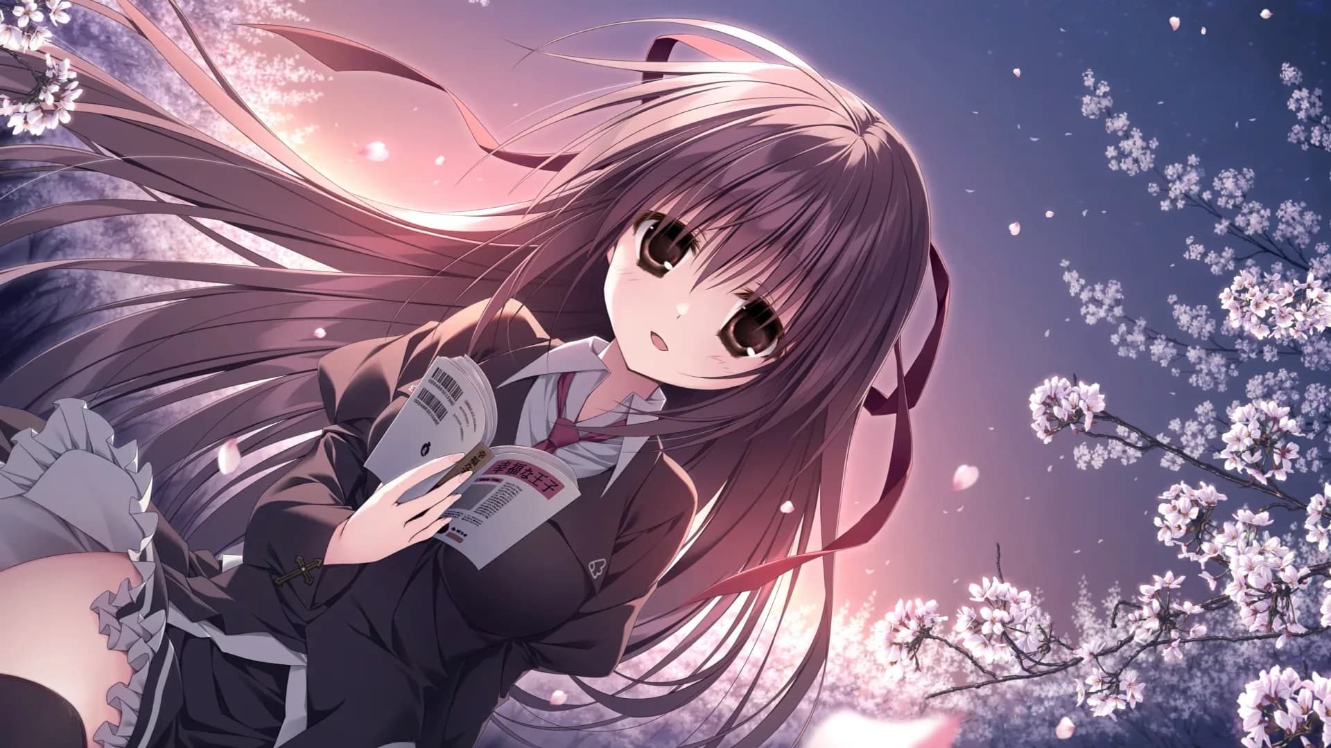 image backdrop image