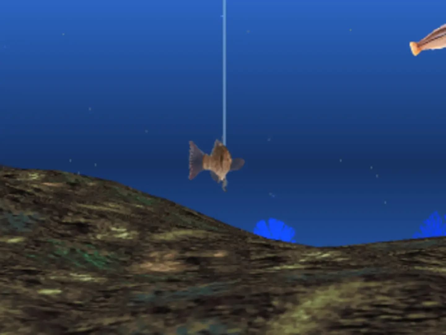 image backdrop image